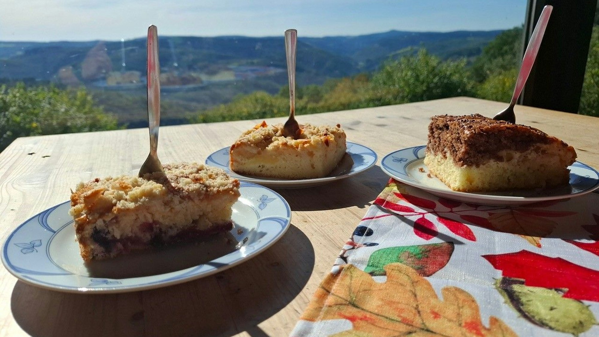Von der Terrasse des Steinerberghauses genießt man zum Kuchen eine tolle Aussicht.