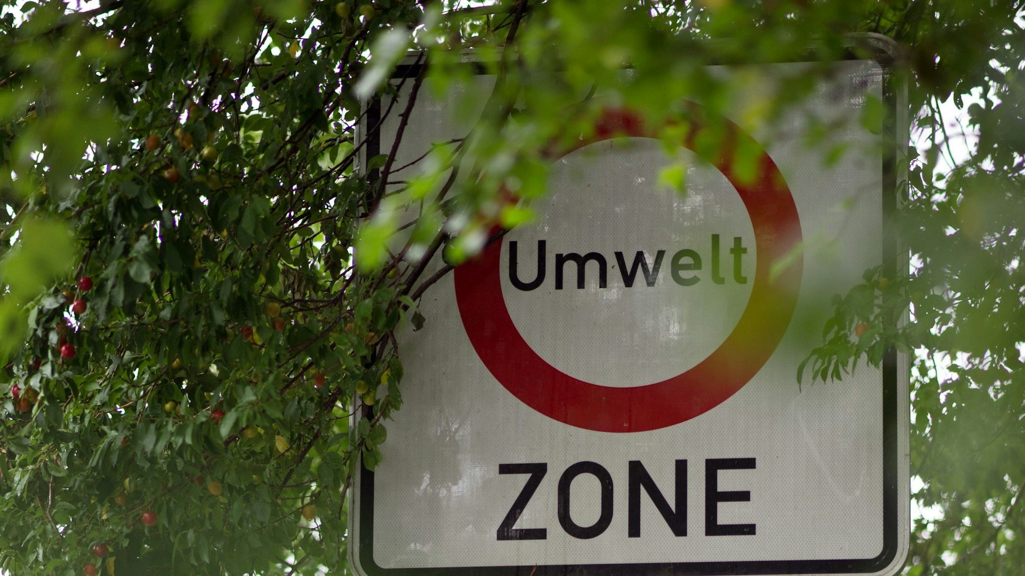 Eine Plakette für die Umweltzone