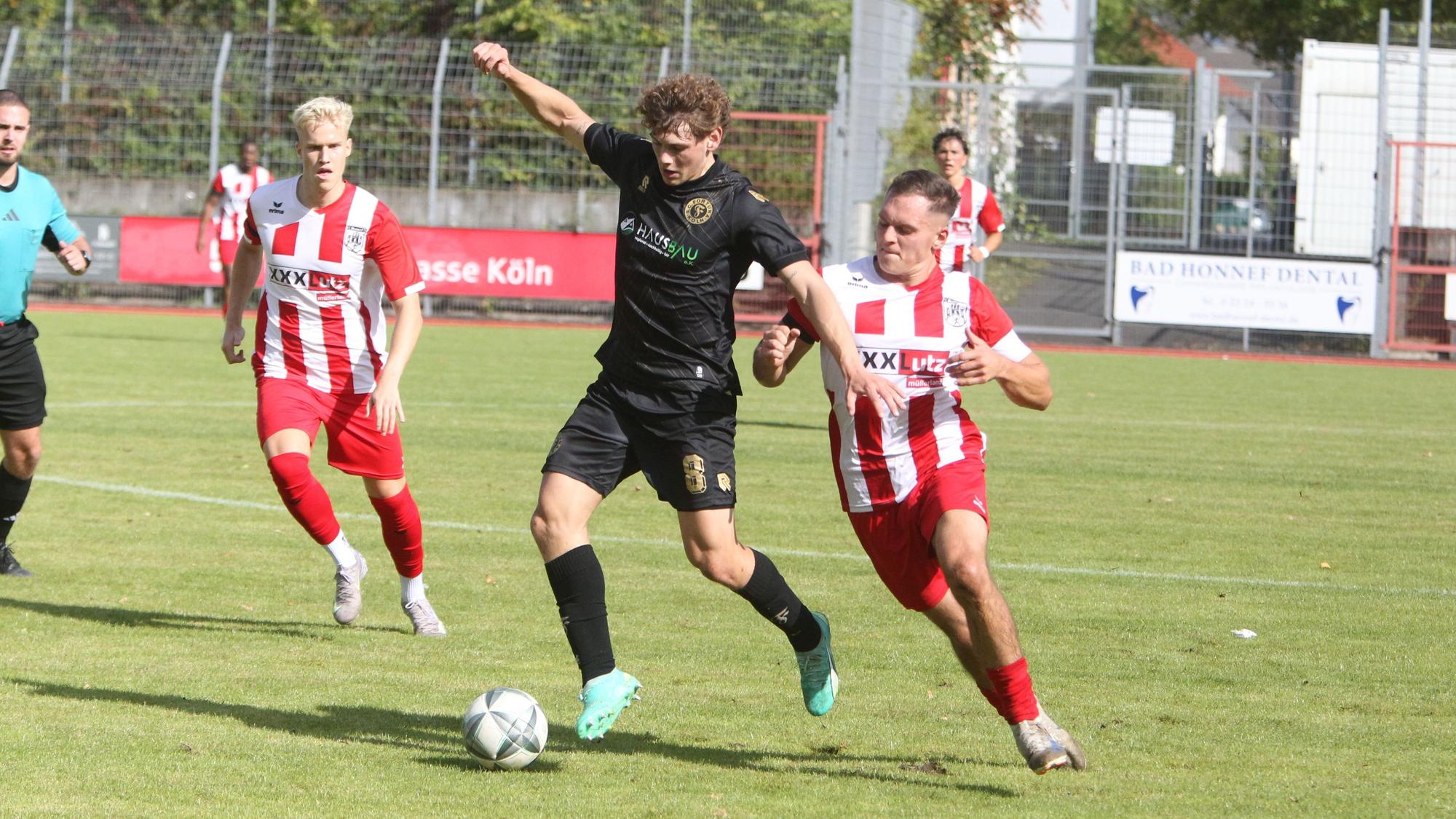 Ansgar Pflüger