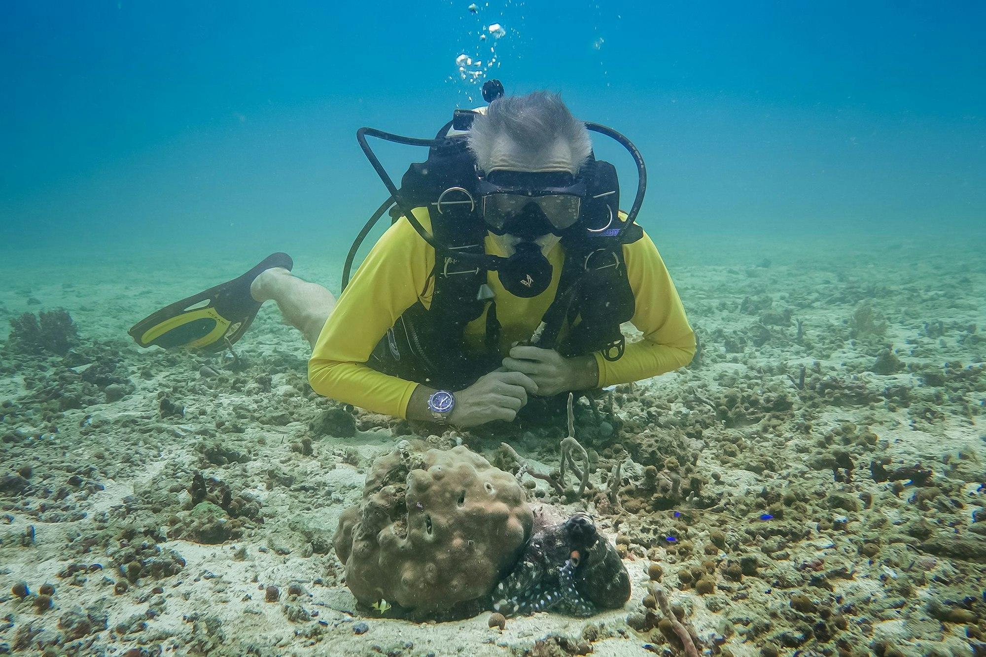 Hannes Jaenicke beim Tauchen in Indonesien mit einer Großen Blauen Krake (Day Octopus) im Vordergrund.