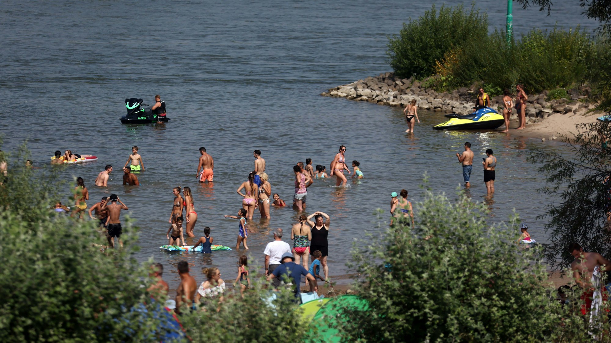 Badende im Rhein im August in Rodenkirchen