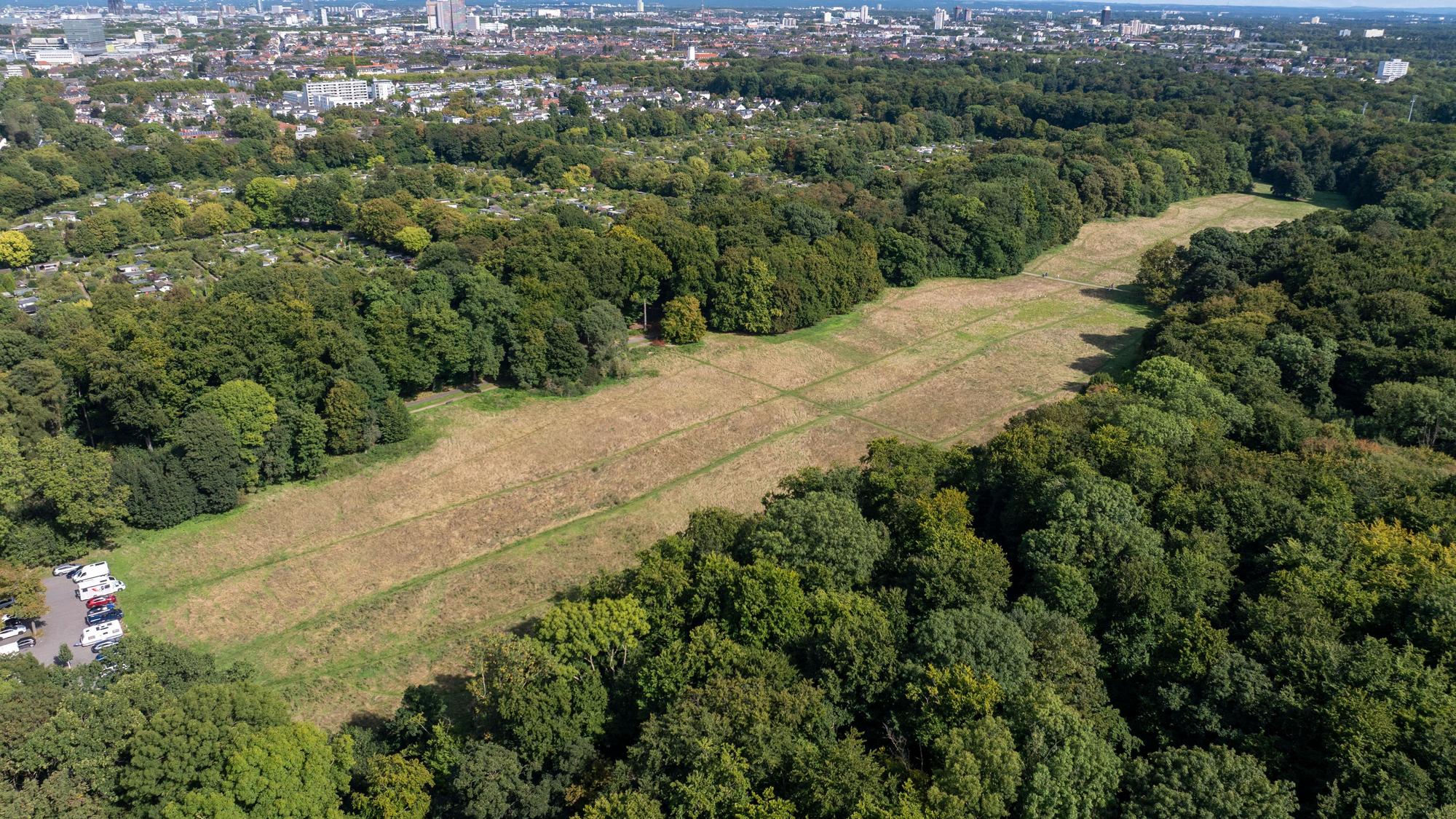 Blick auf die Gleueler Wiese. Luftbild mit Drohne.