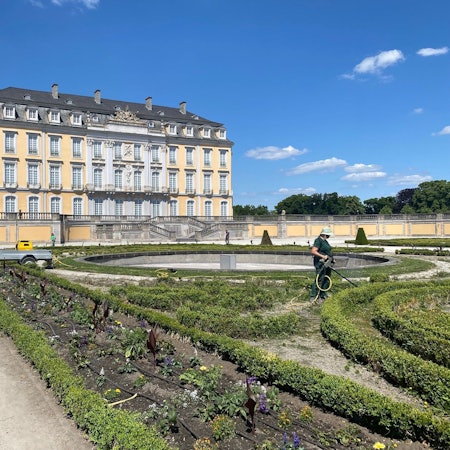 Zu sehen ist Schloss Augustusburg in Brühl.