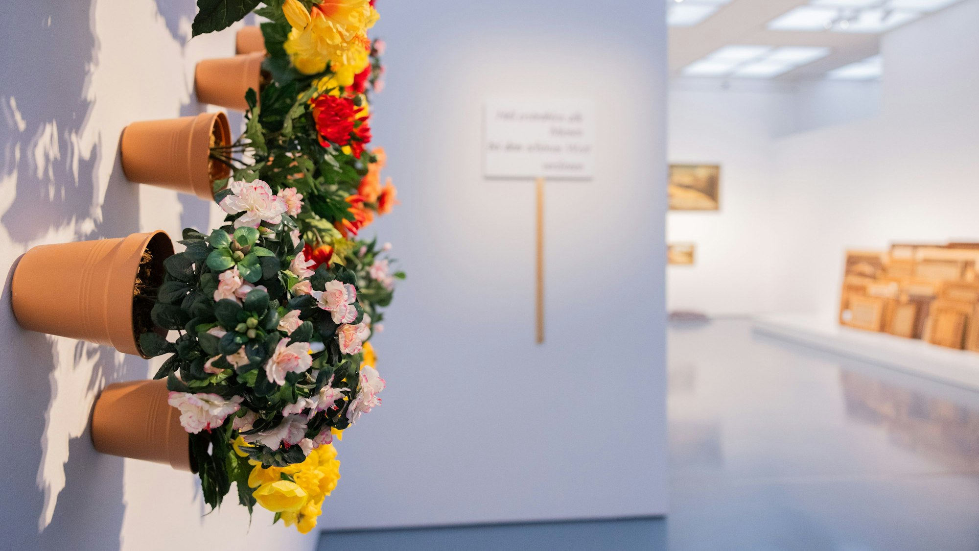 Düsseldorf: Das Werk „Blumentöpfe“ (2009) ist in der Ausstellung „Hans-Peter Feldmann. Kunstausstellung“ (vom 18.09.25 bis 11.01.26) im Museum Kunstpalast zu sehen.