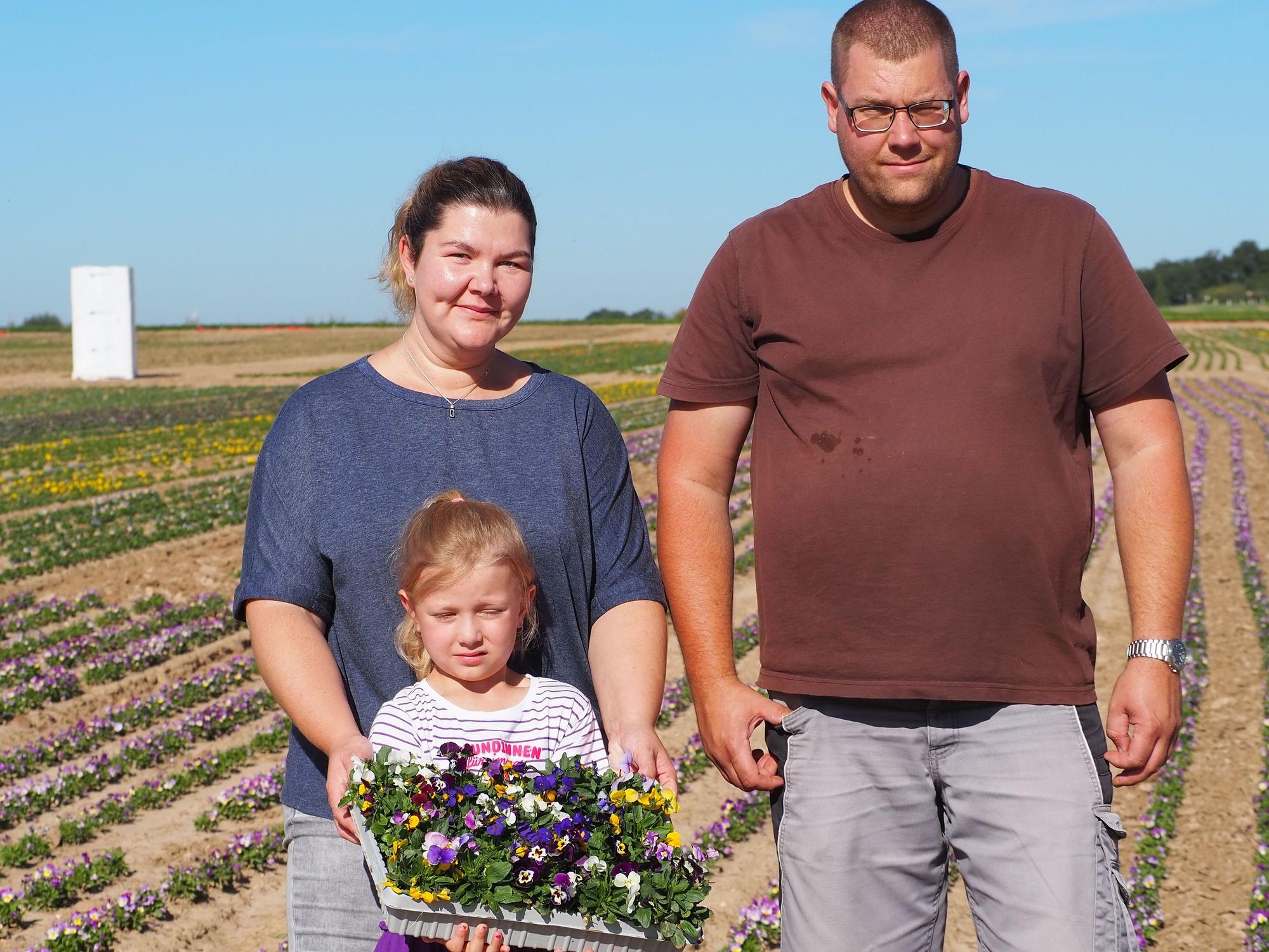 Marie Weiler und Markus Kurth stehen auf einem Stiefmütterchenfeld, ihre Tochter Romy hält eine Kiste mit Blumen.