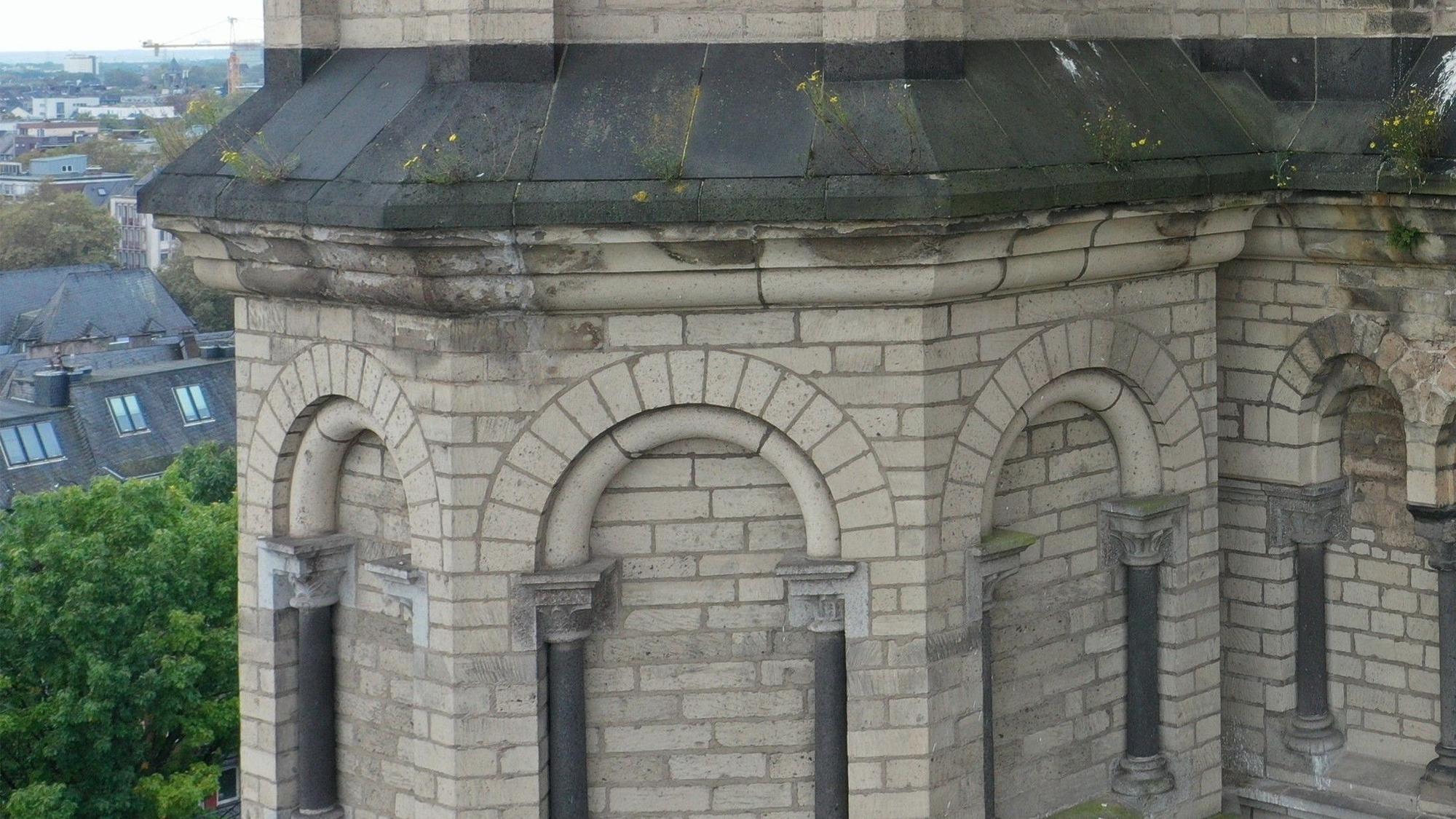 Ausgewaschene Fugen haben an der Fassade von Groß St. Martin zu Pflanzenbewuchs geführt.