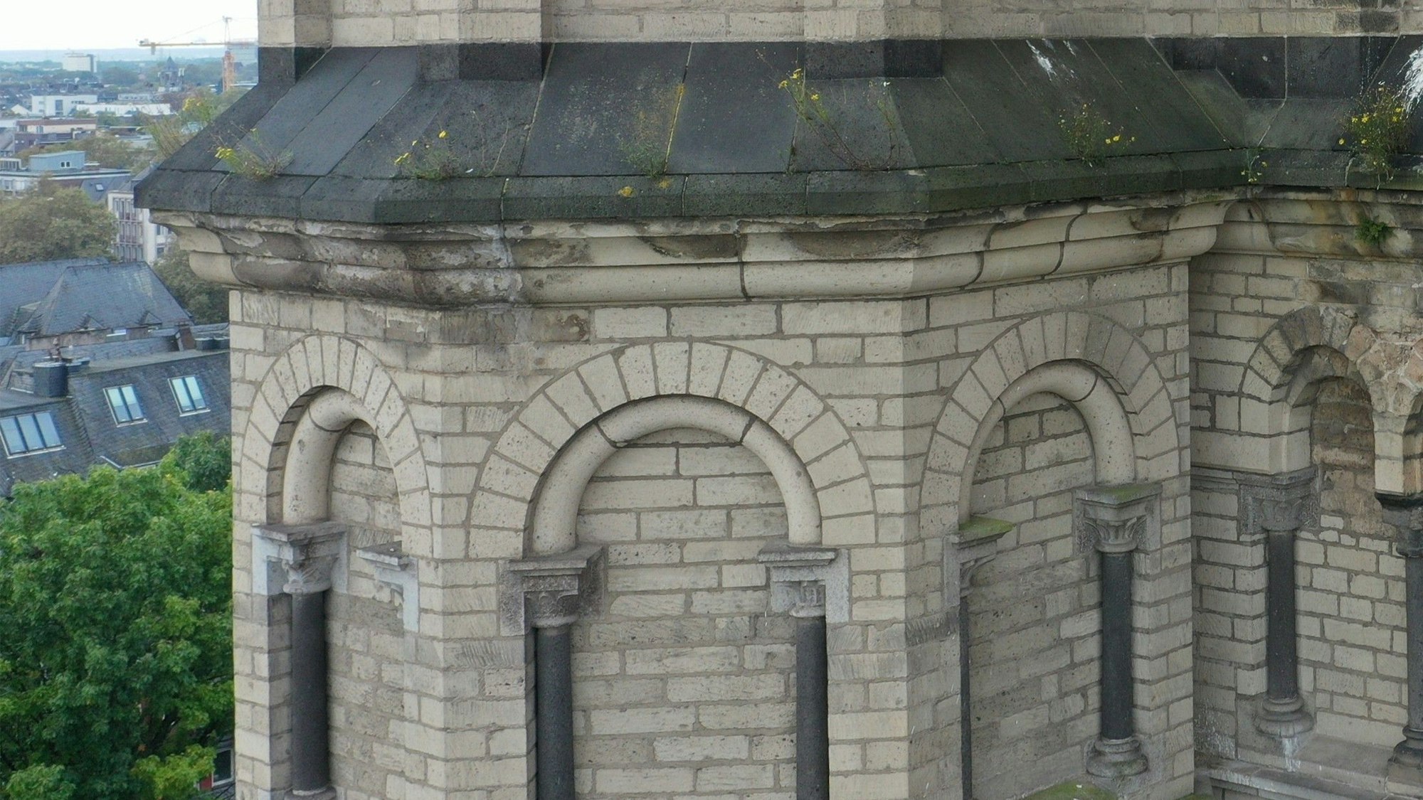 Ausgewaschene Fugen haben an der Fassade von Groß St. Martin zu Pflanzenbewuchs geführt.