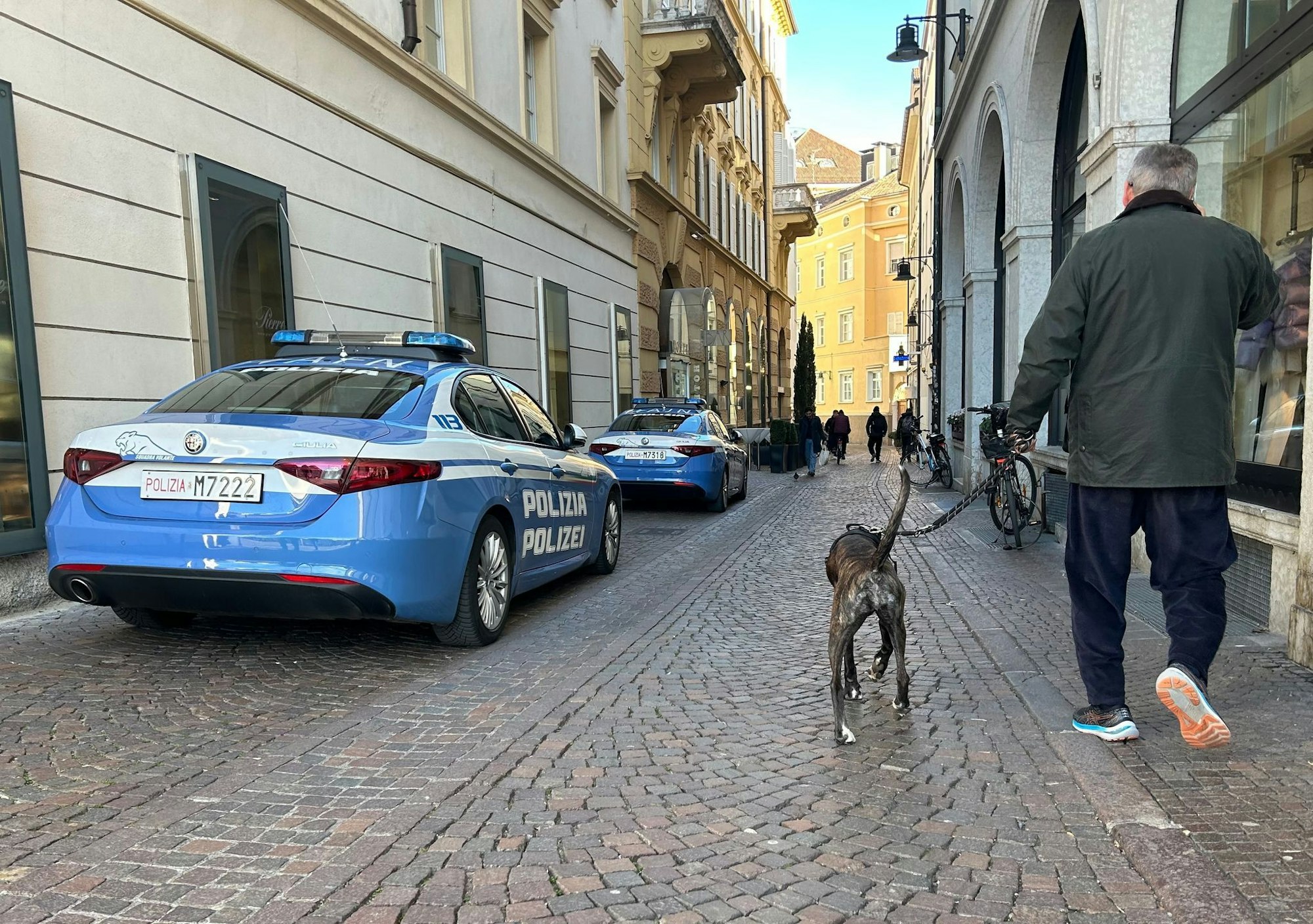 Südtirol will künftig von Hundehaltern eine Art Kurtaxe für ihre Vierbeiner verlangen. (Symbolbild)