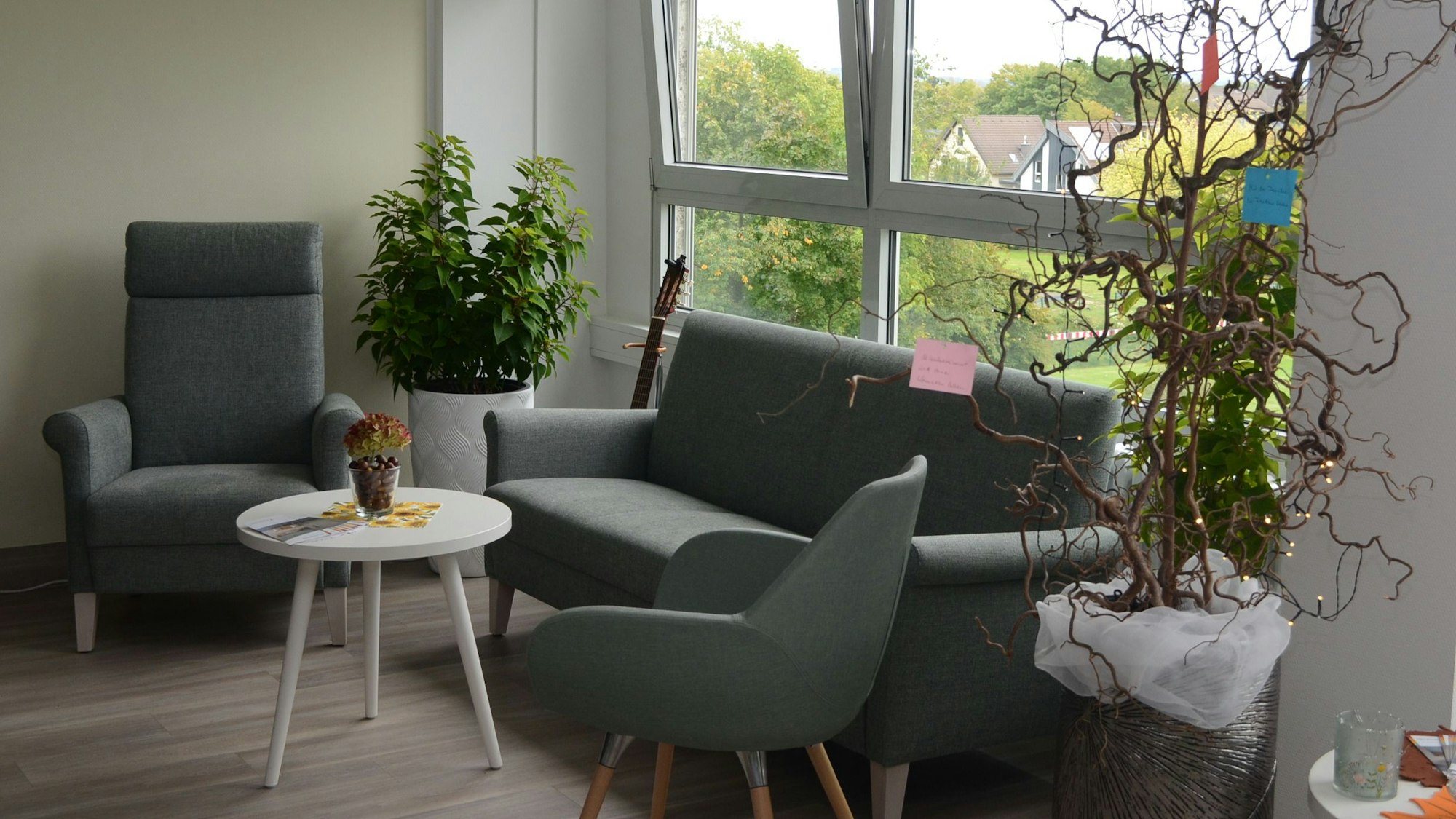 Eine Sitzgruppe aus Sofa und Sesseln, Zimmerpflanzen und Sofatisch.