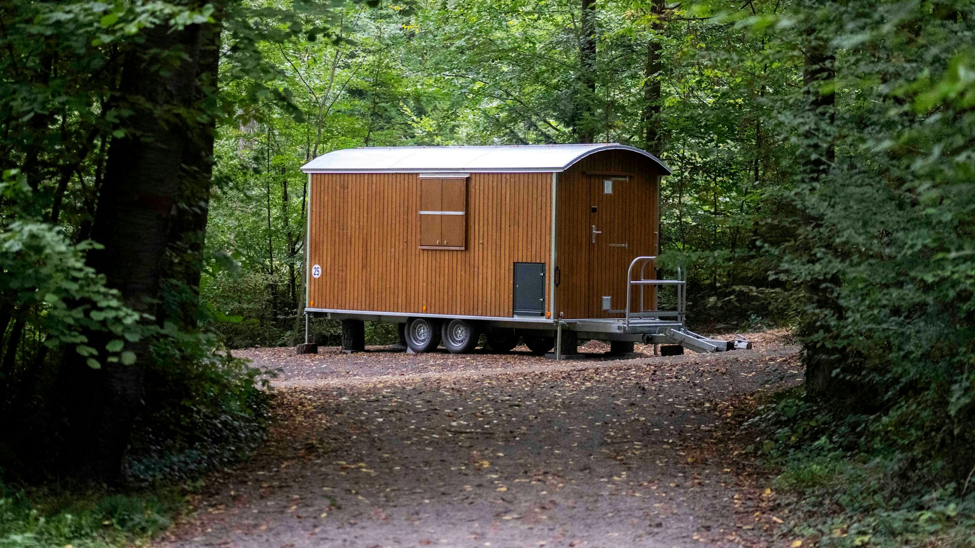 Das Bild zeigt eine Art Bauwagen, der auf einem Weg im Hardtwald steht.