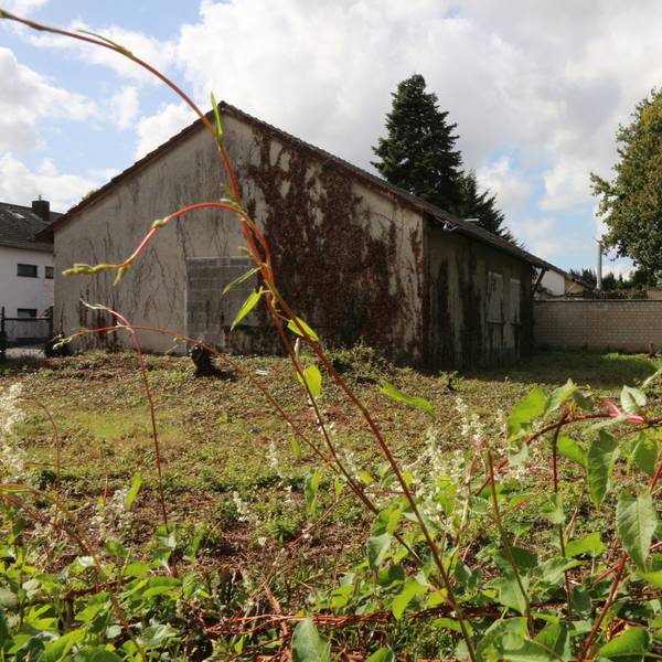Zu sehen sind ein Gartengrundstück und im Hintergrund ein Haus.