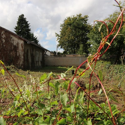 Zu sehen sind ein Gartengrundstück und im Hintergrund ein Haus.