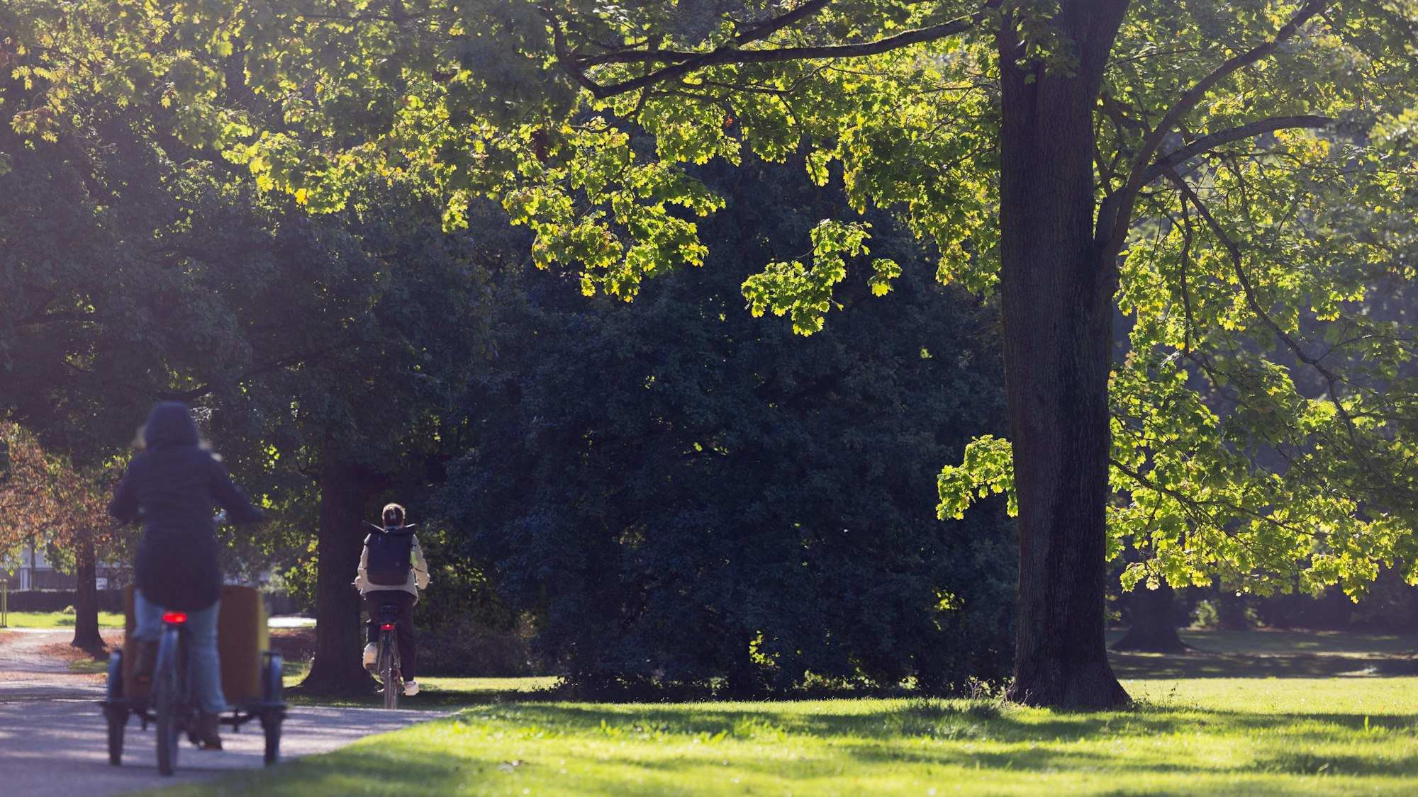 Radfaher fahren bei Sonne durch den Stadtwald.