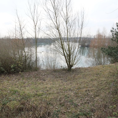 Die Bezirksregierung Köln und der Rhein-Sieg-Kreis lehnen die Erweiterungspläne für die Niederkasseler Kiesgrube aus planungsrechtlichen Gründen ab.