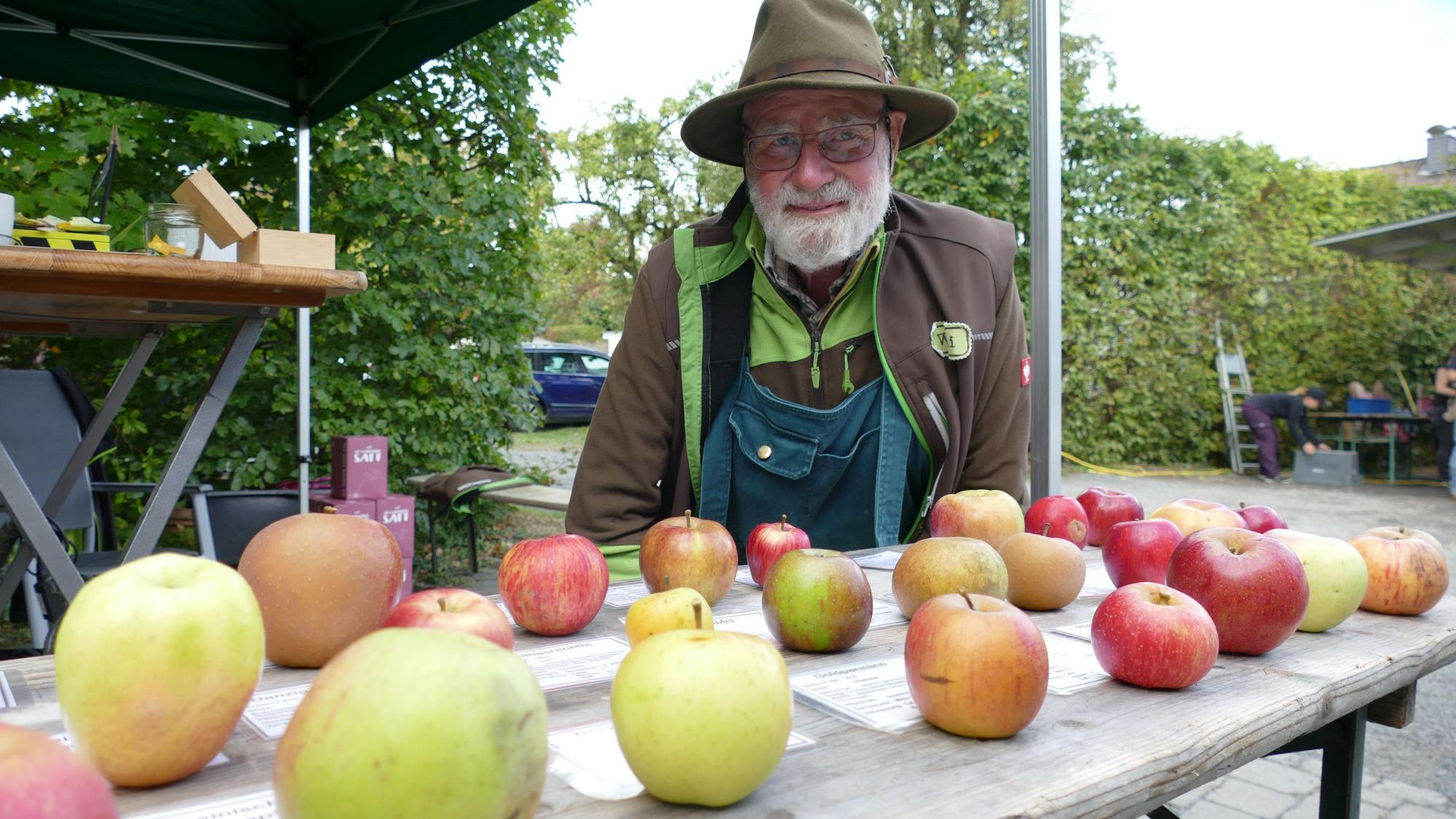 Willi Dinspel von den Obstfreunden Siegtal weiß alles über die Apfelsorten, die vor ihm liegen. Einige hat er selbst gezüchtet.