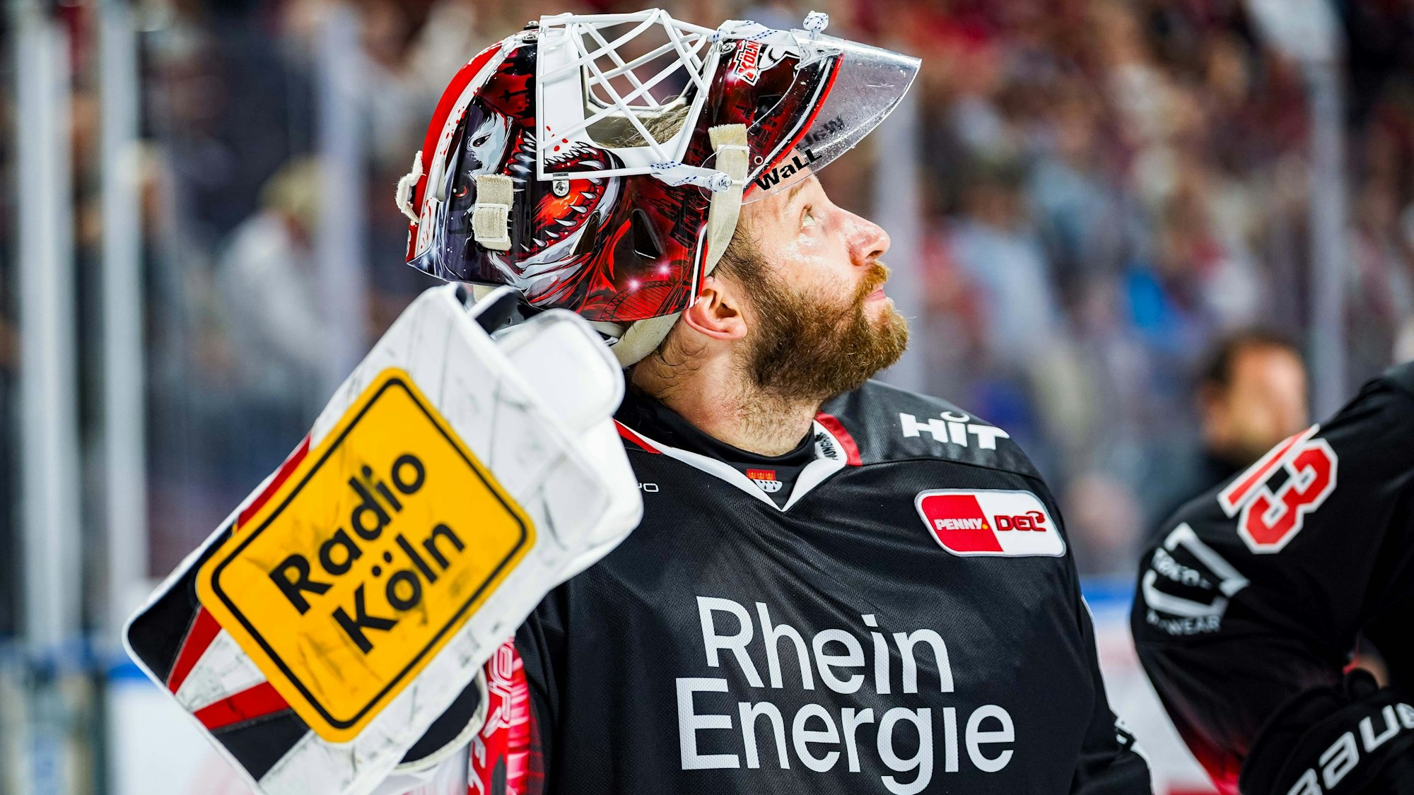 EDrittes Spiel, dritter Sieg: Goalie Felix Brückmann Köln ist aktuell ein Erfolgsgarant für die Kölner Haie.