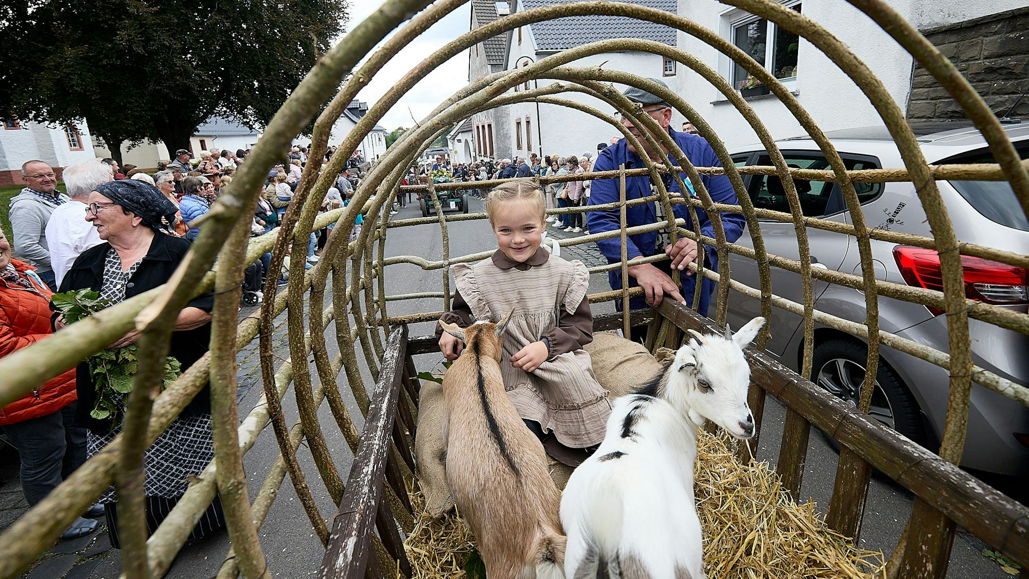 Ein Mädchen sitzt beim historischen Erntedankzug in Blankenheim-Dollendorf mit zwei Ziegen in einem Käfig.