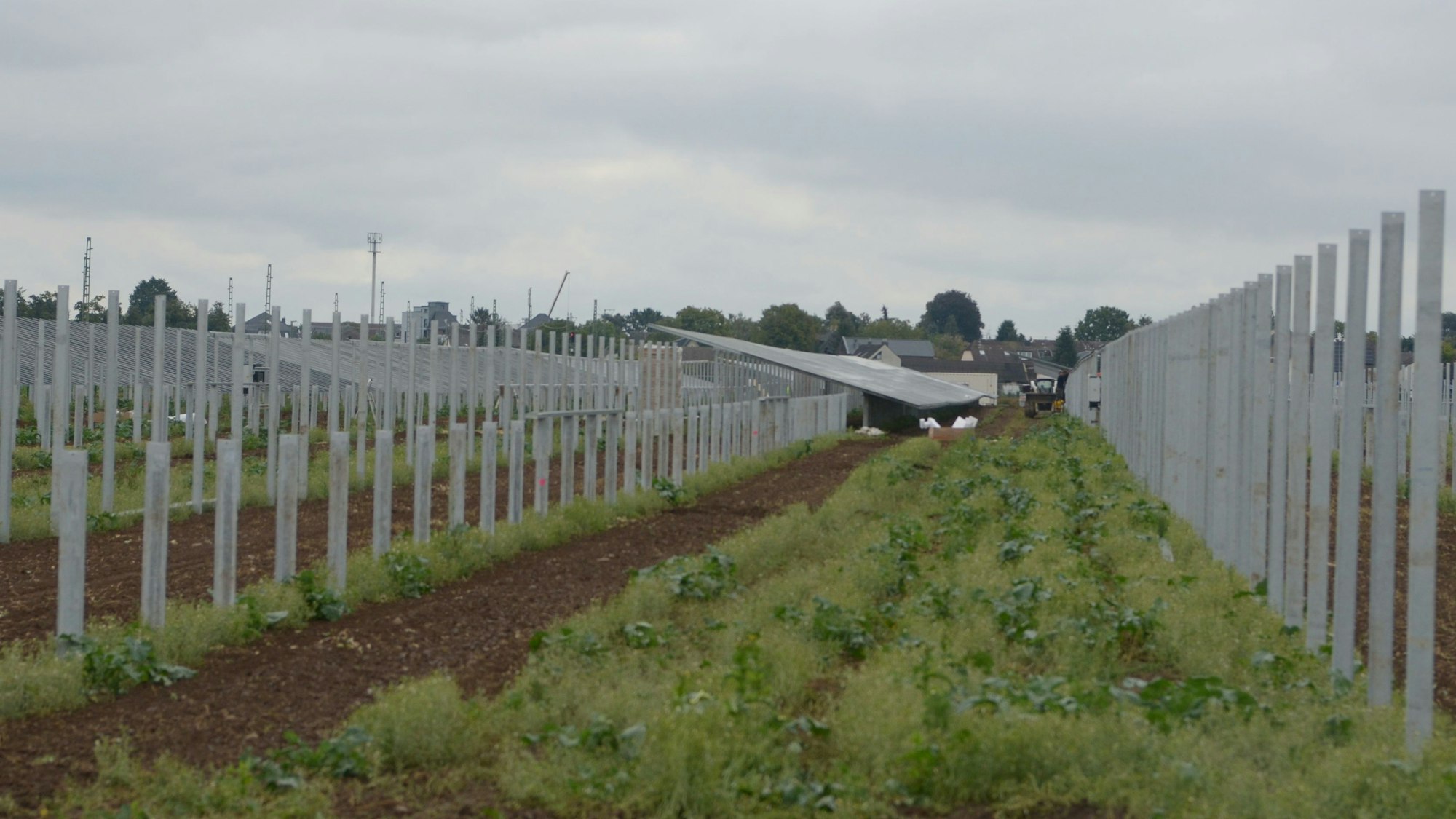 Das Bild zeigt die Baustelle. In langen Reihen stehen Metallständer, auf denen Solarmodule platziert werden.