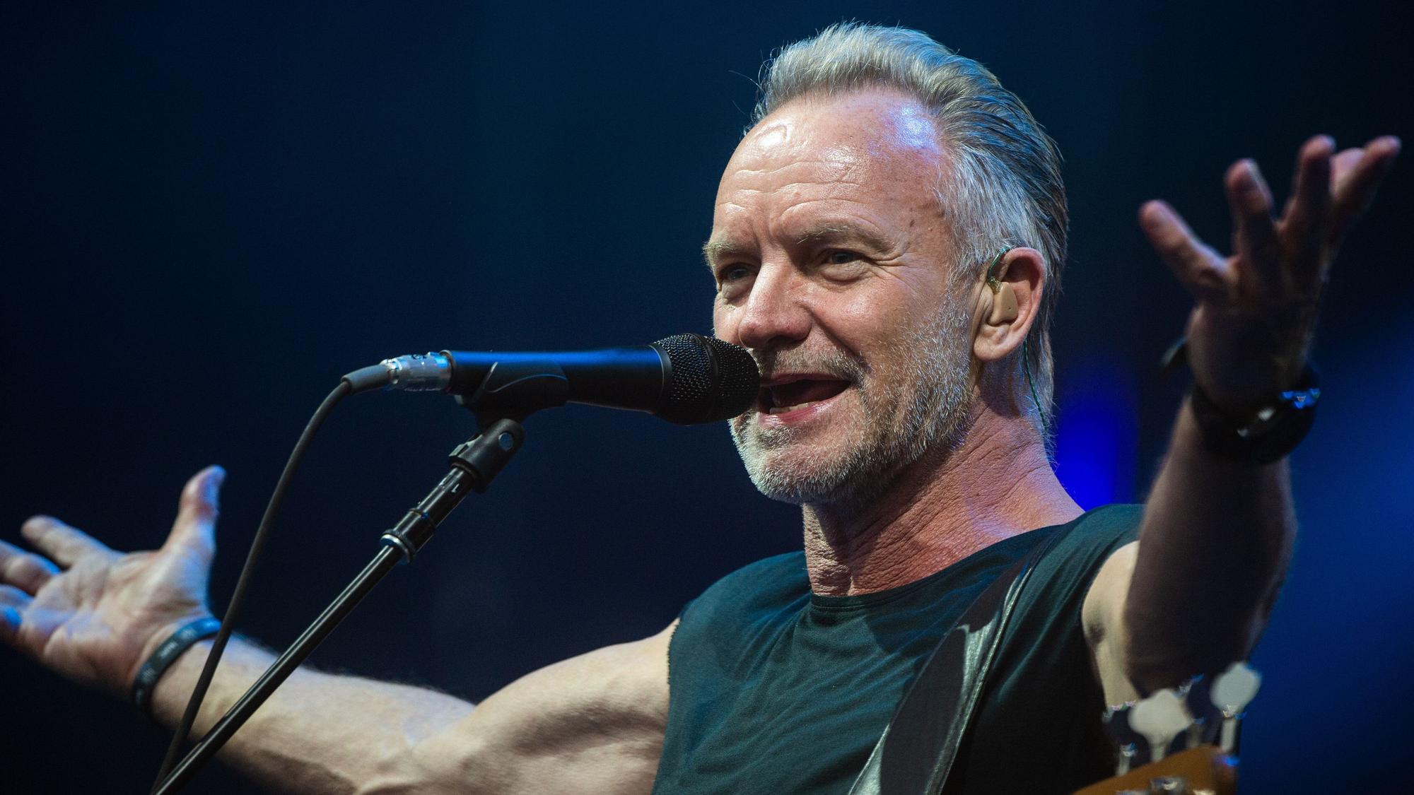 Sting (Archivbild)