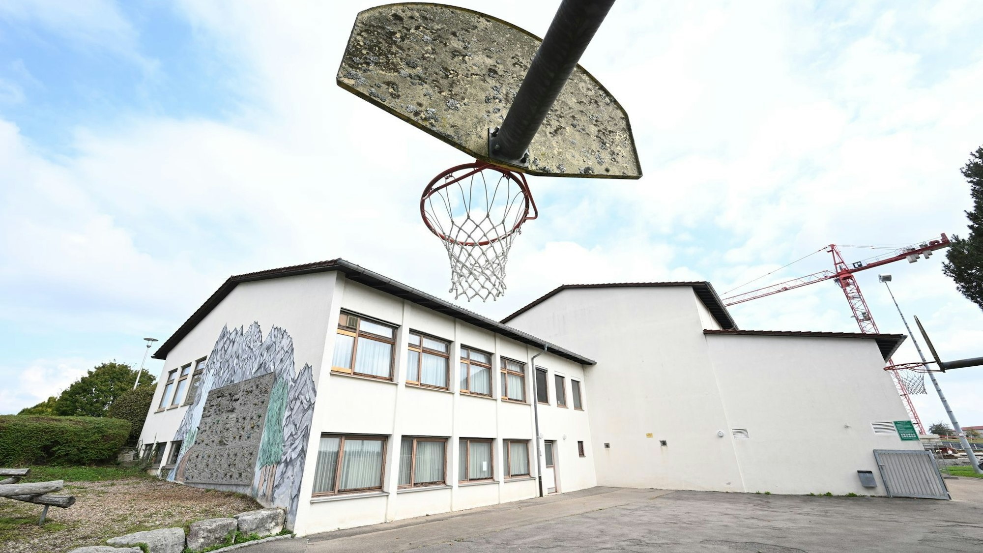 Um die Gemeindehalle in Kirchberg an der Murr abreißen zu dürfen, musste sich die Gemeinde erst um vier Fledermäuse kümmern.