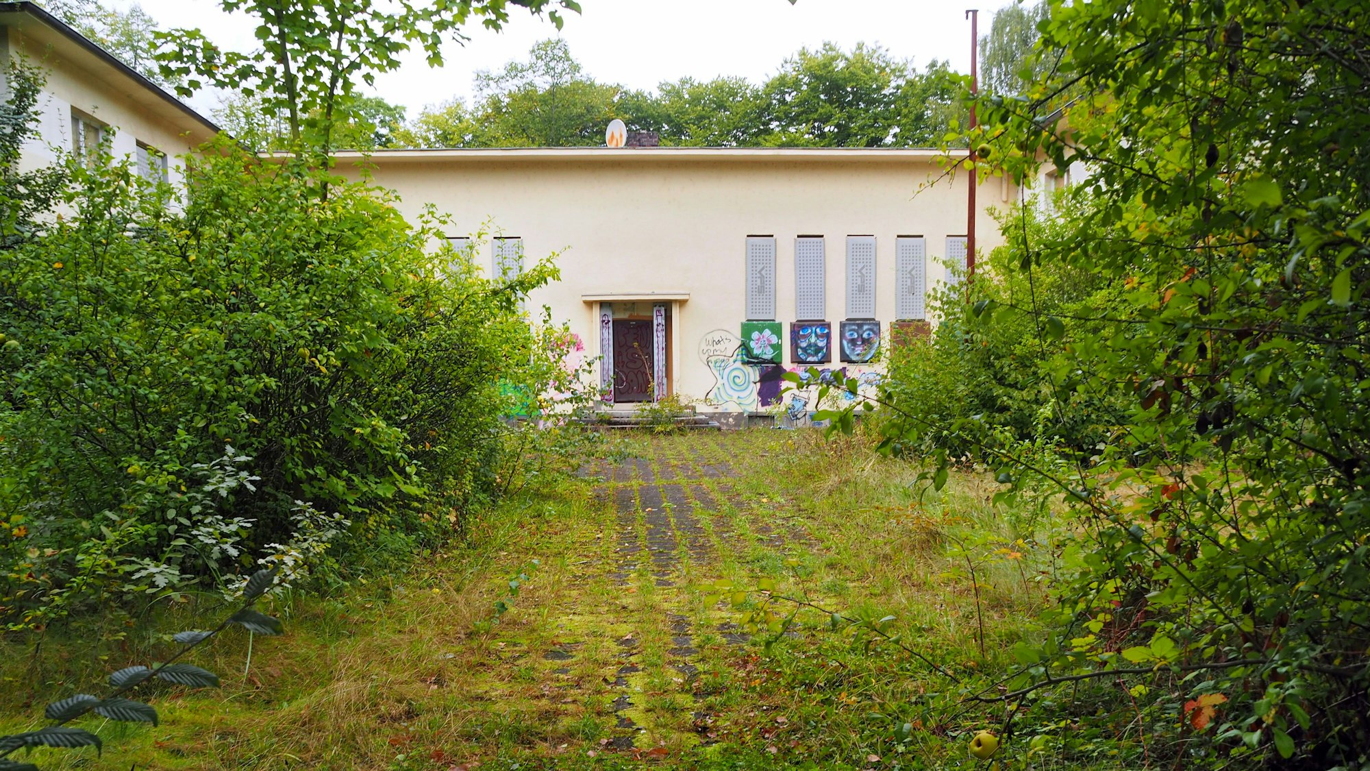 Ein beiges Gebäude mit Flachdach steht hinter Büschen und einer zugewucherten Asphaltfläche.