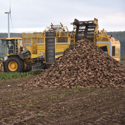 Das Bild zeigt einen großen Stapel Rüben. Dahinter ein gelbes Fahrzeug eines Landwirts.