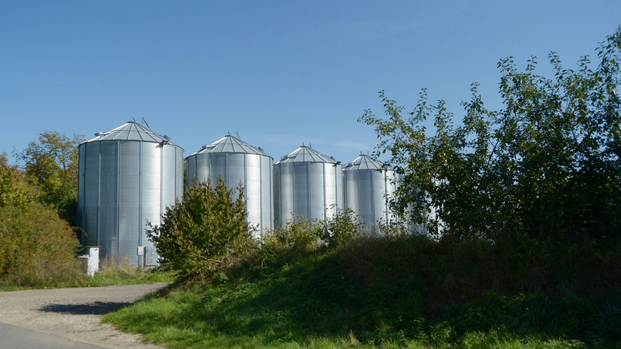 Das Bild zeigt einen Teil der Siloanlage, die von einem Wall und von Bäumen umgeben ist.