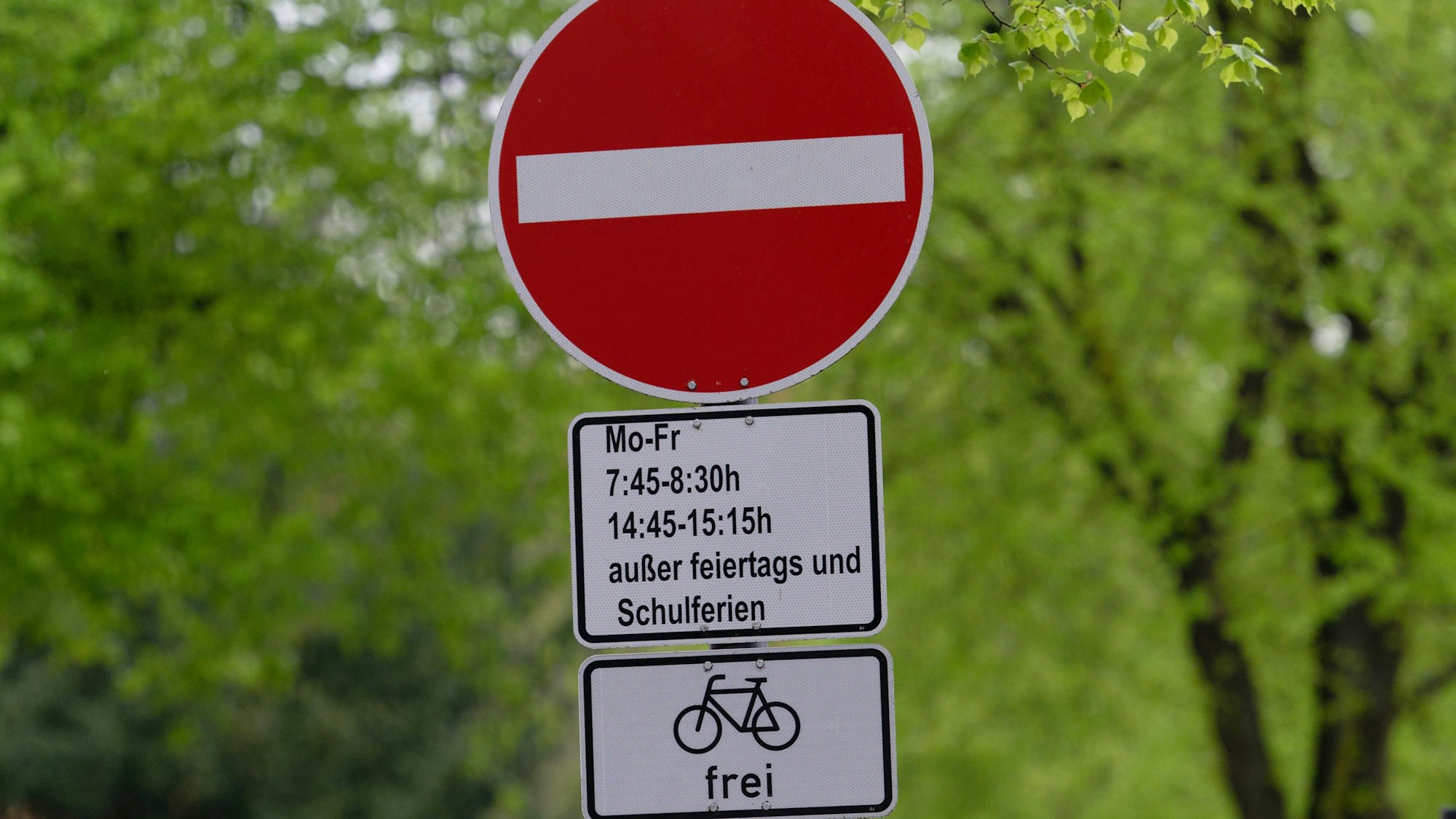 In Köln weist ein Schild auf eine Sperrung einer Straße während der Bring- und Abholzeit einer in der Straße gelegenen Grundschule für den Autoverkehr hin.