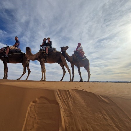 Eine Familie bei einer Kameltour in der Wüste.