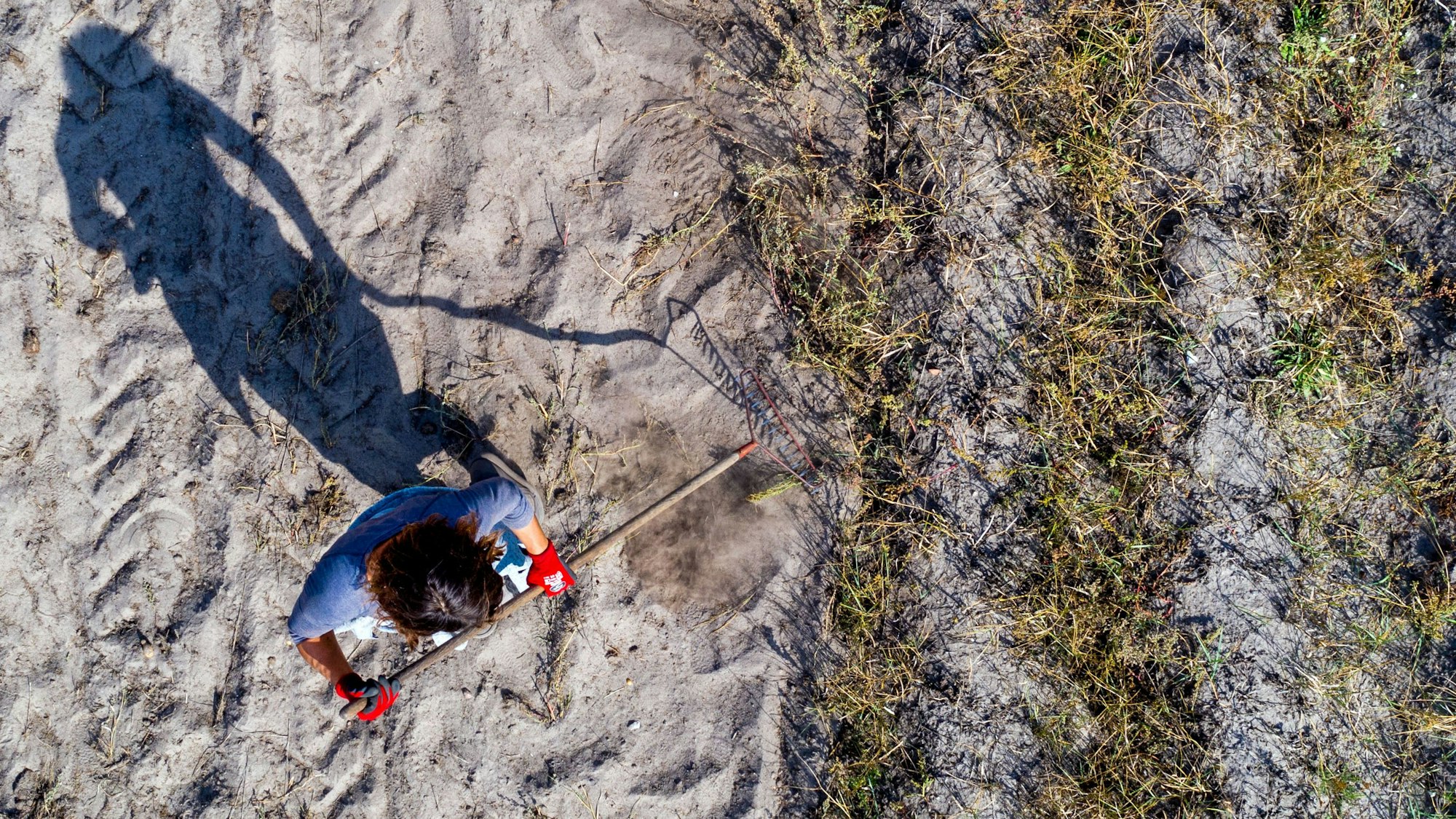Eine Person läuft über ein Kartoffelfeld (Symbolfoto).