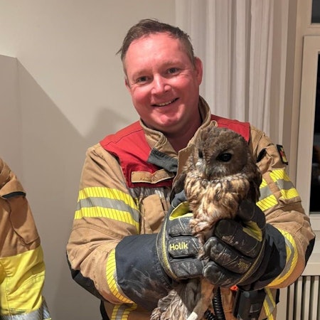 Ein Feuerwehrmann hält einen verrußten Waldkauz in den Händen.