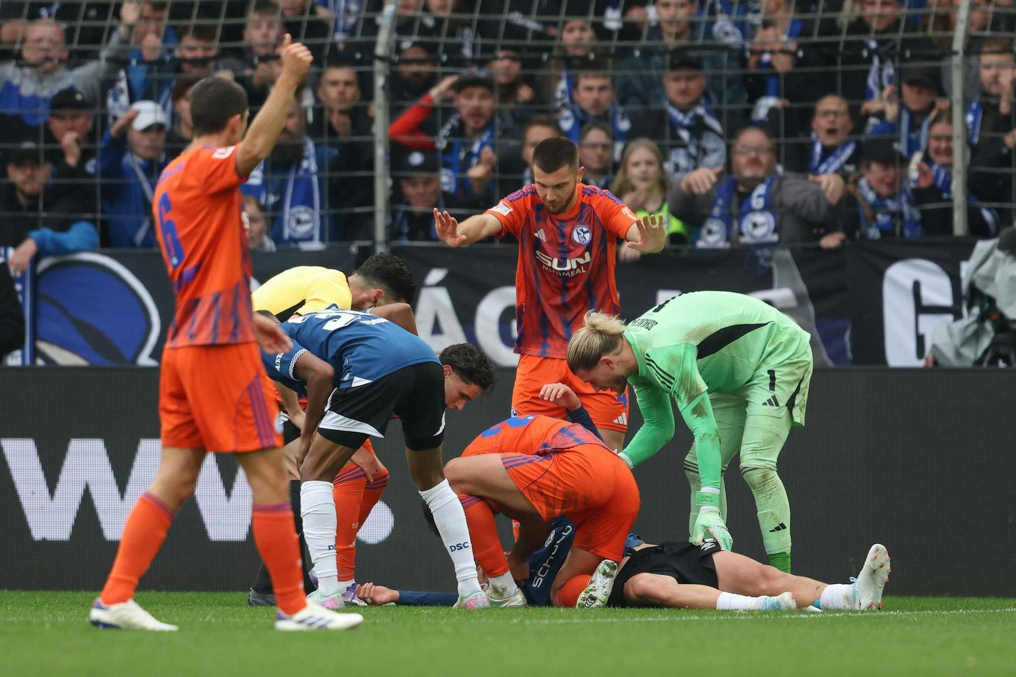 Grodowski liegt auf dem Rasen.