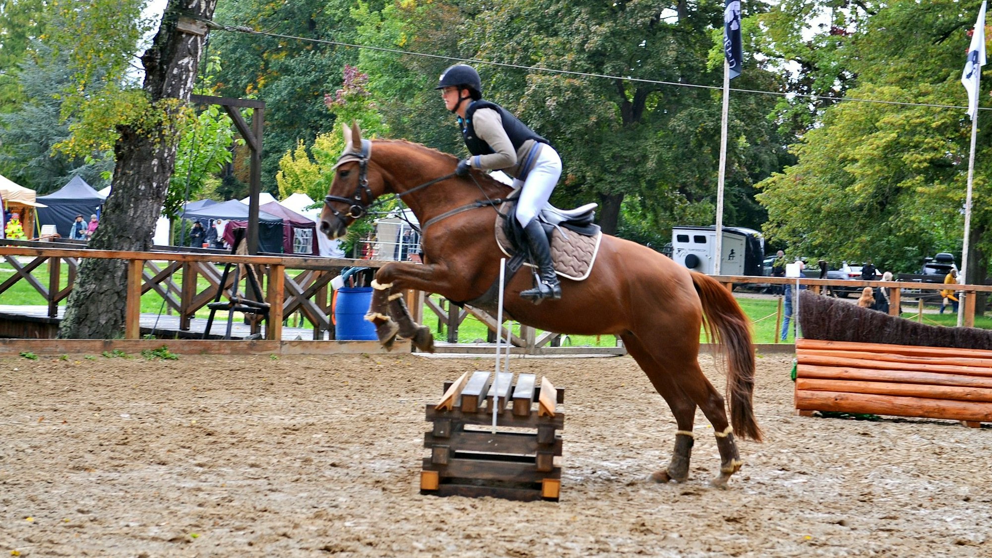 Das Bild zeigt die Reiterin und ihr Pferd beim Sprung über ein Hindernis.