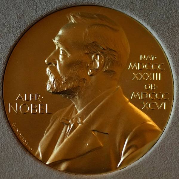 Die Nobelpreismedaille gibt als höchste Auszeichnung in verschiedensten Disziplinen.