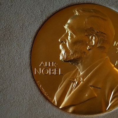 Die Nobelpreismedaille gibt als höchste Auszeichnung in verschiedensten Disziplinen.