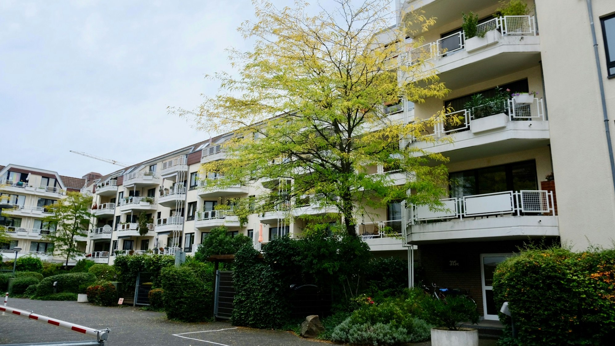 Die Wohnhäuser an der Berrenrather Straße