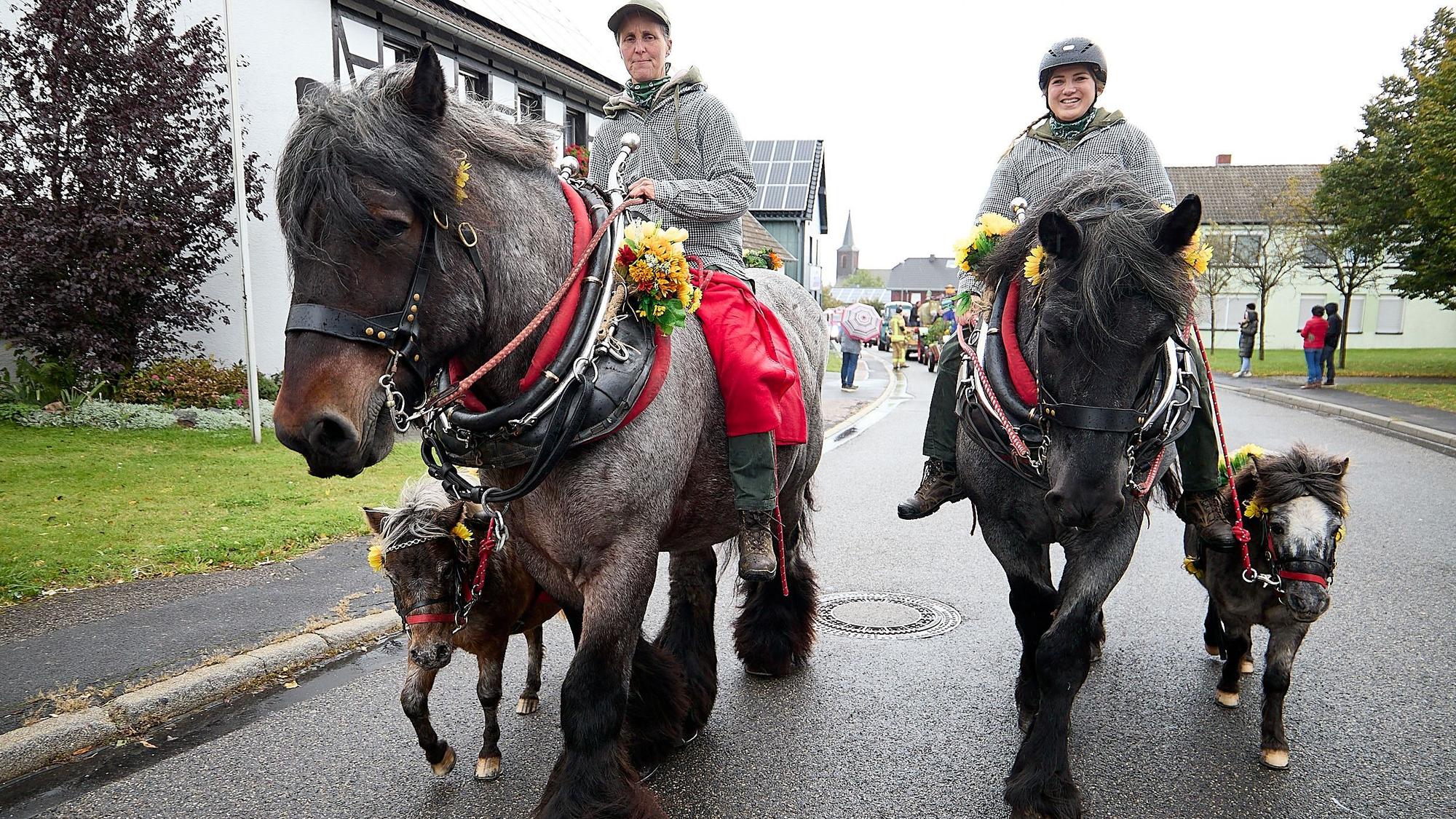 Zwei Reiterinnen sitzen auf großen Pferden. Daneben gehen Ponys.