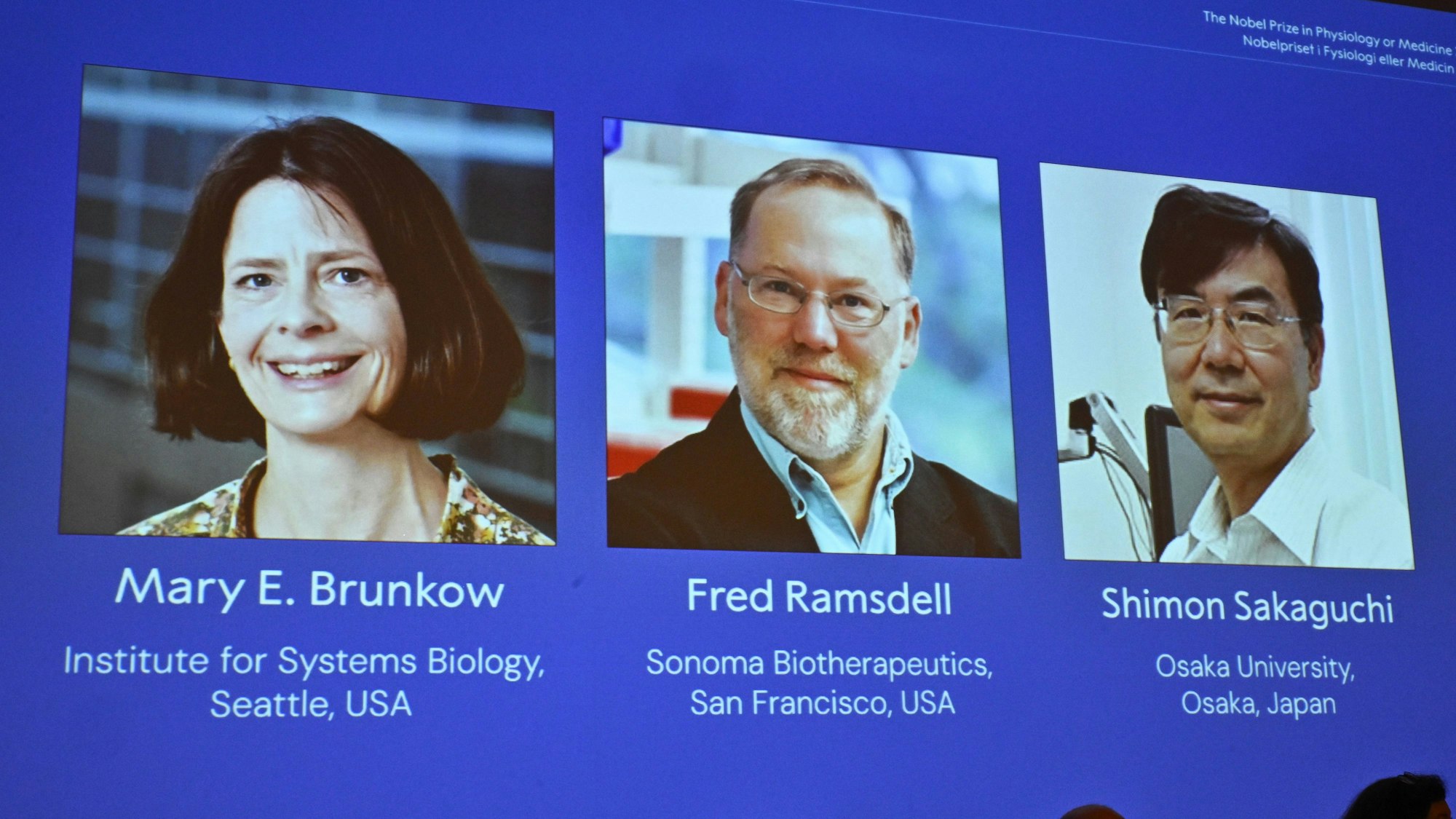 Ein Bildschirm zeigt die Fotos von Mary E. Brunkow, Fred Ramsdell und Shimon Sakaguchi, denen der Nobelpreis für Medizin oder Physiologie verliehen wurde, bei der Nobelversammlung des Karolinska Institutet in Stockholm.