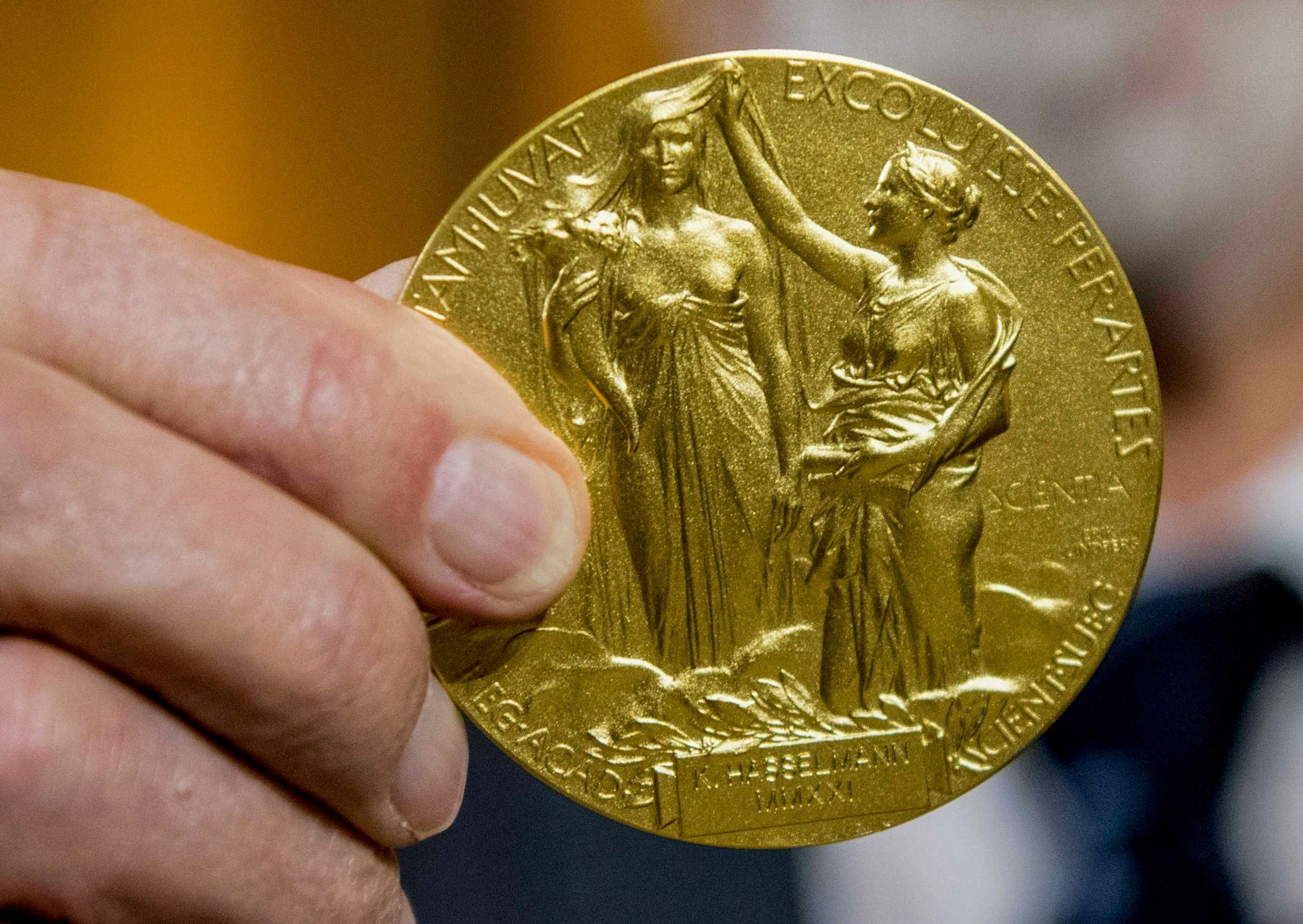 Die Rückseite der Nobel-Medaille für Physik stellt die Natur in Form einer Göttin dar, die ein Füllhorn hält. Der Schleier, der ihr Gesicht bedeckt, wird vom Genie der Wissenschaft hochgehalten. (Archivbild)