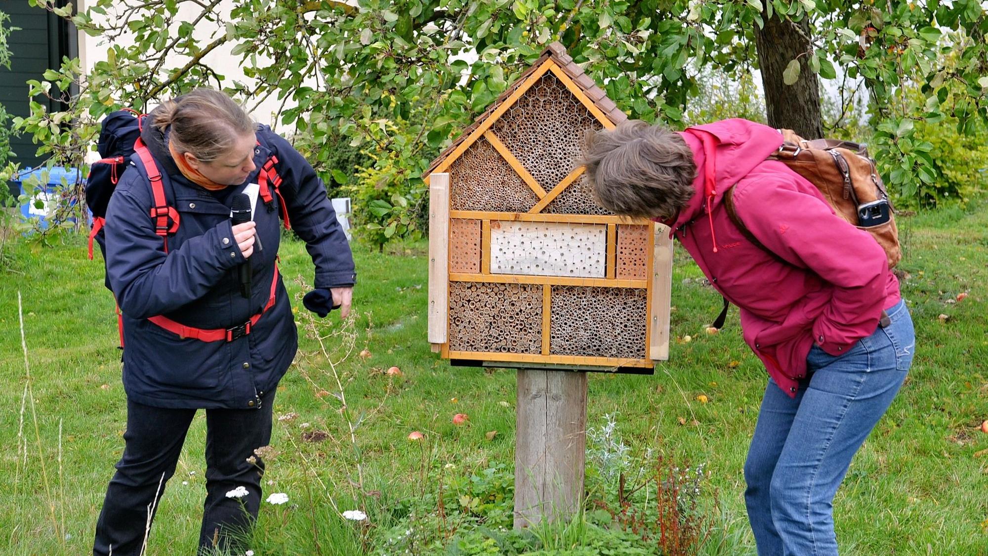 Zwei Frauen stehen auf einer Grünfläche und schauen auf ein Insektenhotel. Diese Vorrichtung befindet sich auf einem Pfahl und sieht wie ein zweidimensionales Häuschen aus. Innerhalb des Häuschens sind Waben durch Trennlinien in unterschiedliche Abschnitte unterteilt.