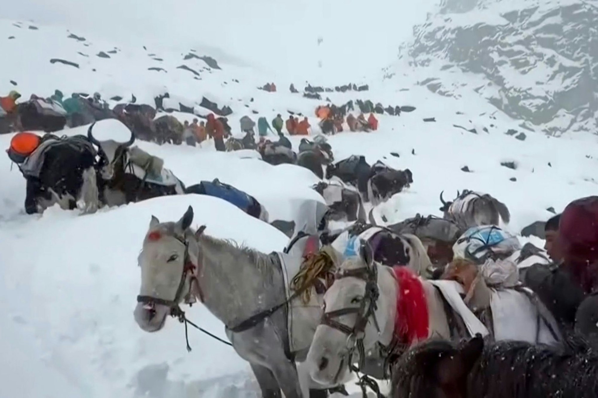 Dorfbewohner stiegen mit Pferden und Ochsen auf den Mount Everest, um zu den Wanderern zu gelangen. (Archivbild)