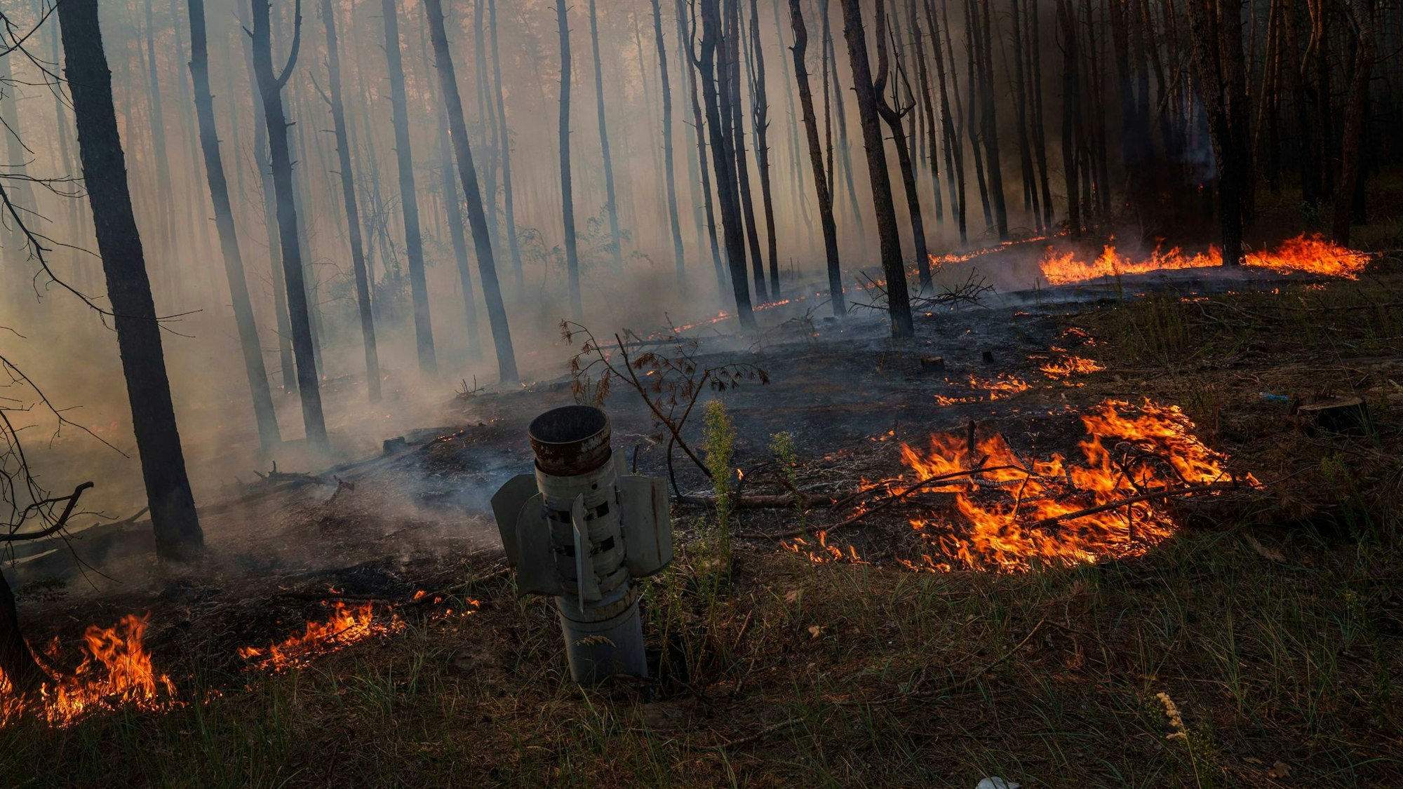 Waldbrände in der Ukraine, die viel Treibhausgase freisetzen, werden oft durch Gefechte ausgelöst. (Archivbild)