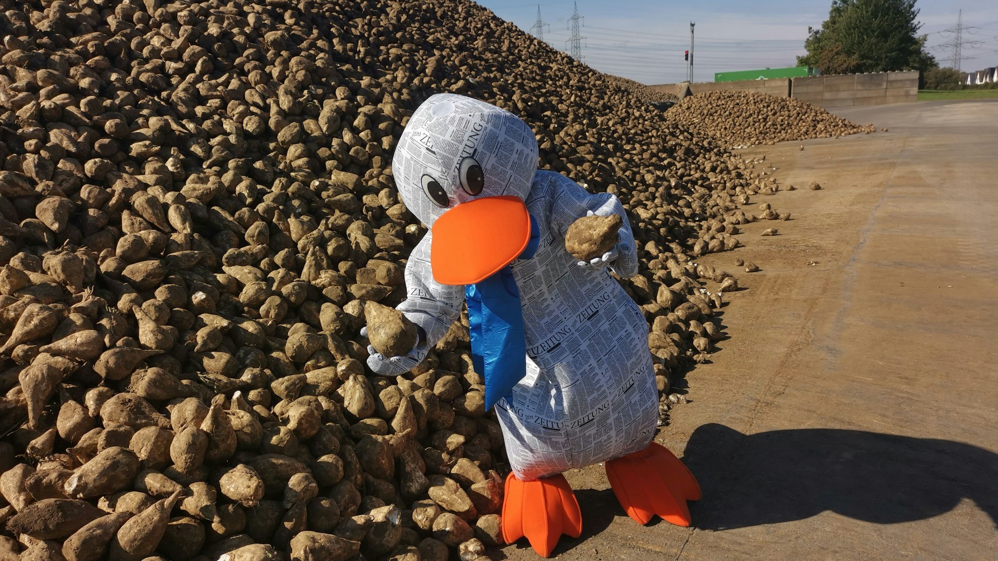 Paula Print Grafschafter Krautfabrik Meckenheim