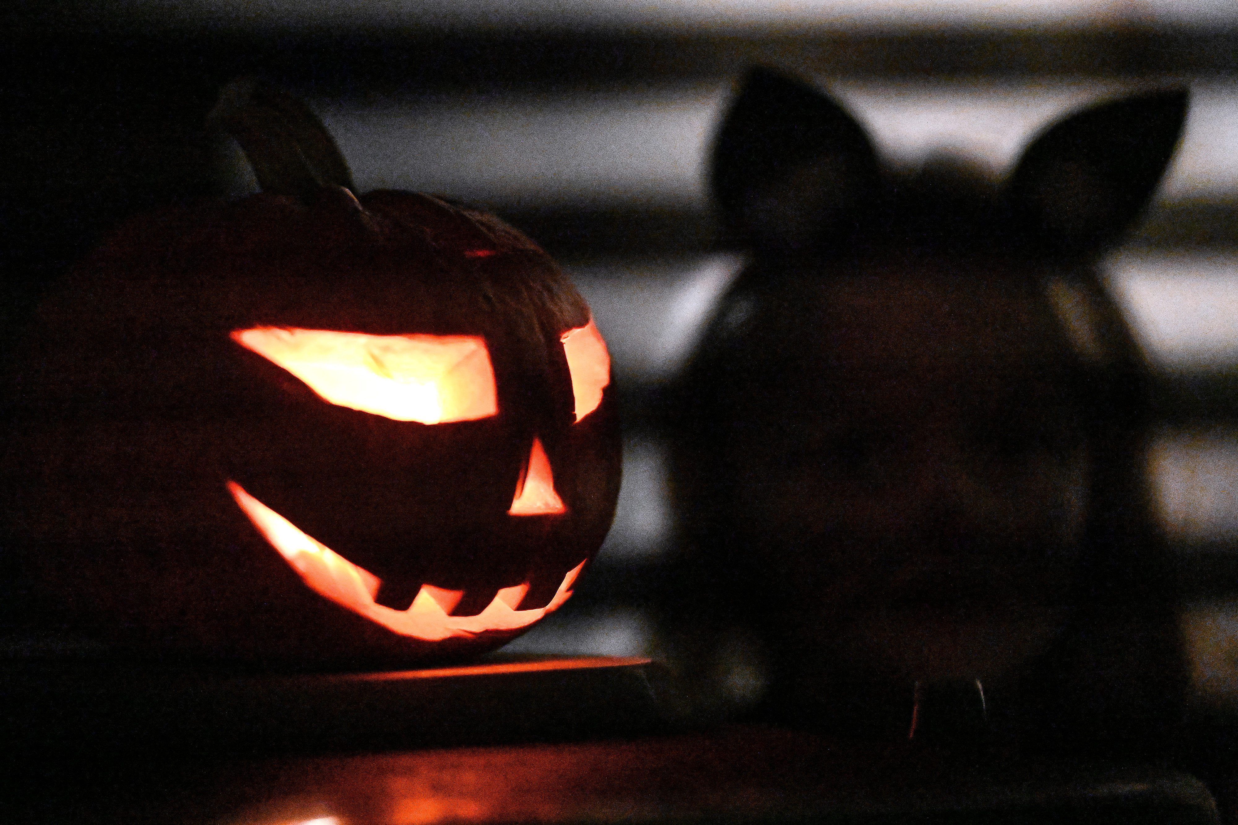 Ein Kürbis steht zu Halloween vor einem Haus. (Arachivbild)