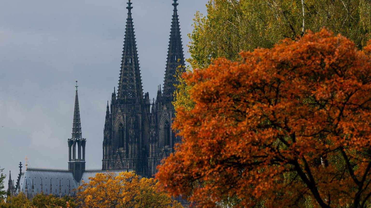 Köln: Herbstlich gefärbte Bäume rahmen die Turmspitzen des Kölner Doms ein.