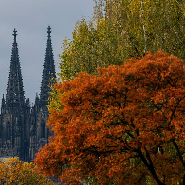 Köln: Herbstlich gefärbte Bäume rahmen die Turmspitzen des Kölner Doms ein.