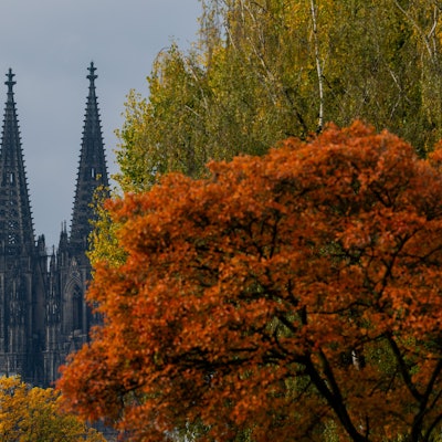 Köln: Herbstlich gefärbte Bäume rahmen die Turmspitzen des Kölner Doms ein.