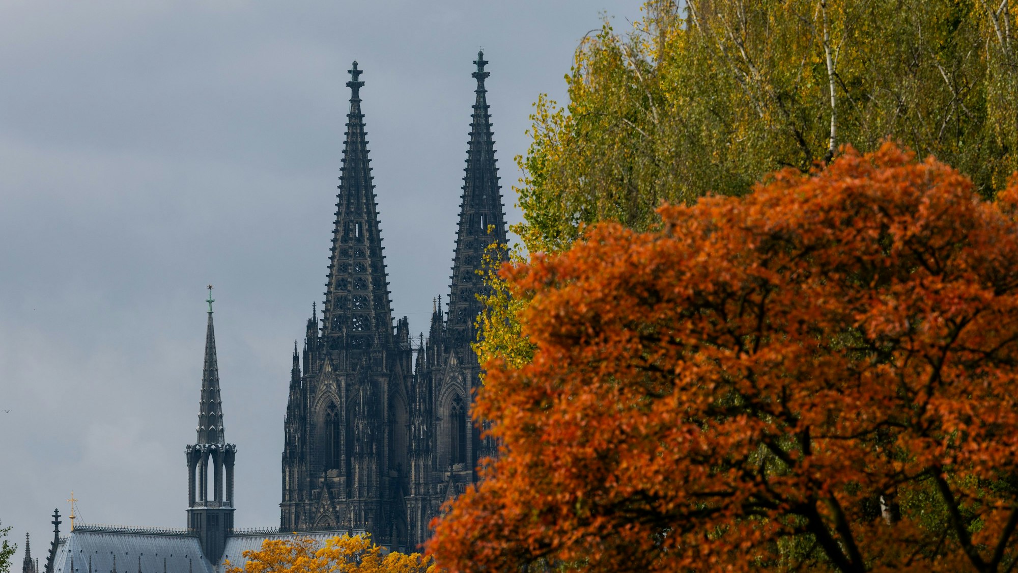 Köln: Herbstlich gefärbte Bäume rahmen die Turmspitzen des Kölner Doms ein. Auf der Domplatte kam es heute zu einem Einsatz.