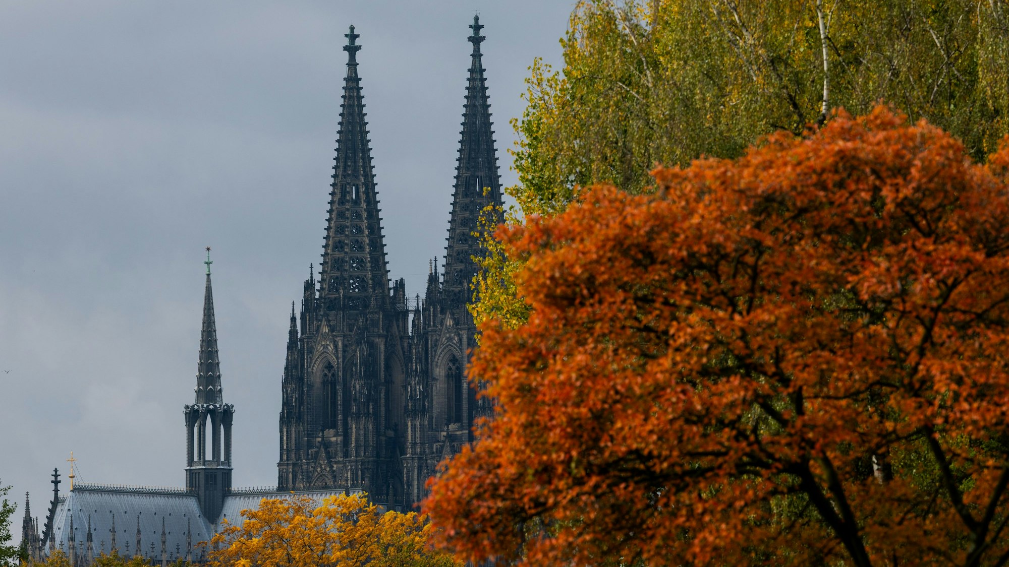 Köln: Herbstlich gefärbte Bäume rahmen die Turmspitzen des Kölner Doms ein.