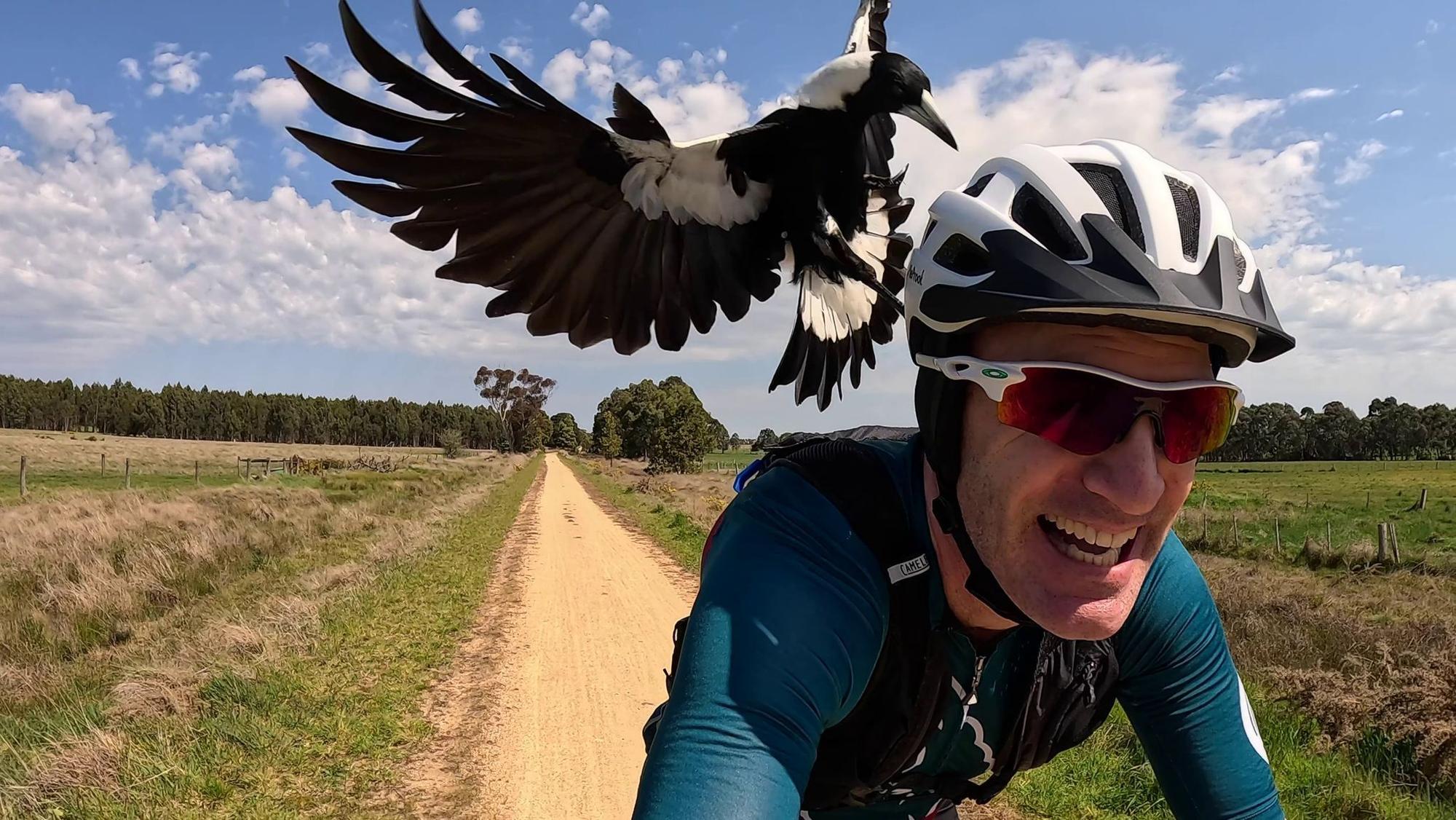 Radfahrer Shane Miller testet einen «PieProof»-Helm gegen Magpie-Angriffe.